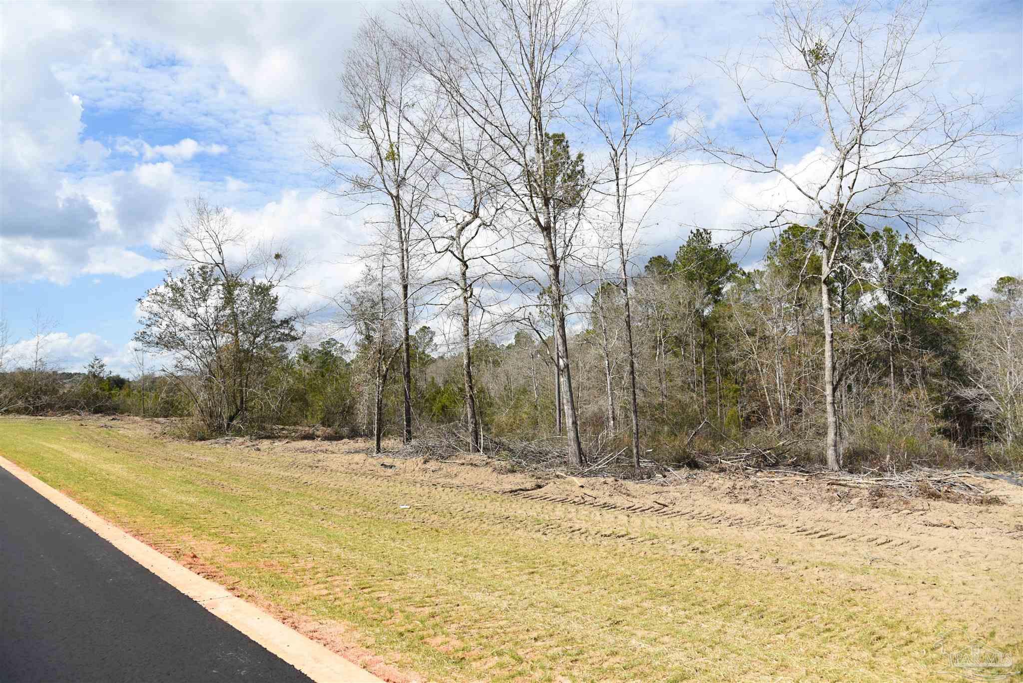 Lot 22 Creek Bluff Drive Pace FL 32571