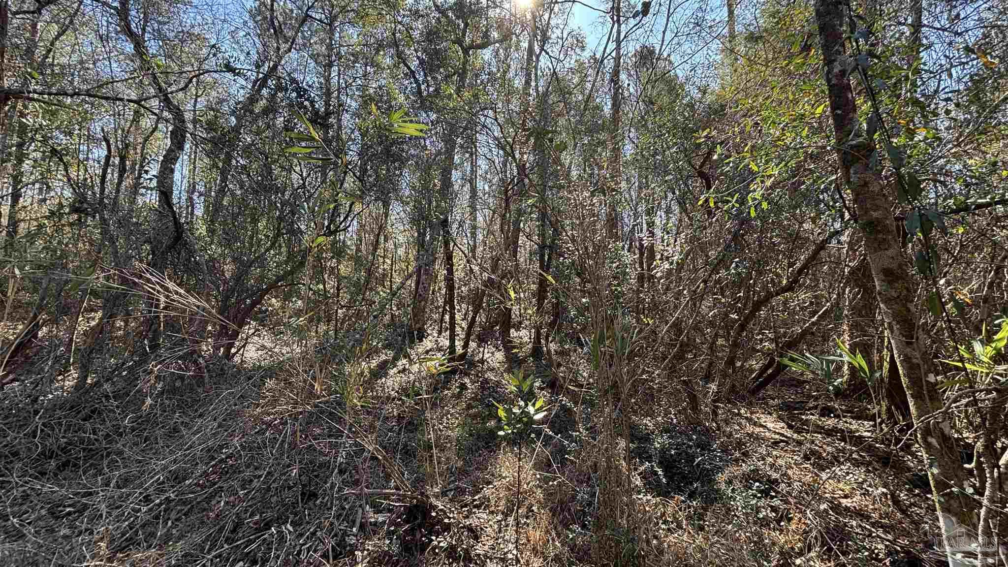 Lot 22 Creek Bluff Drive Pace FL 32571