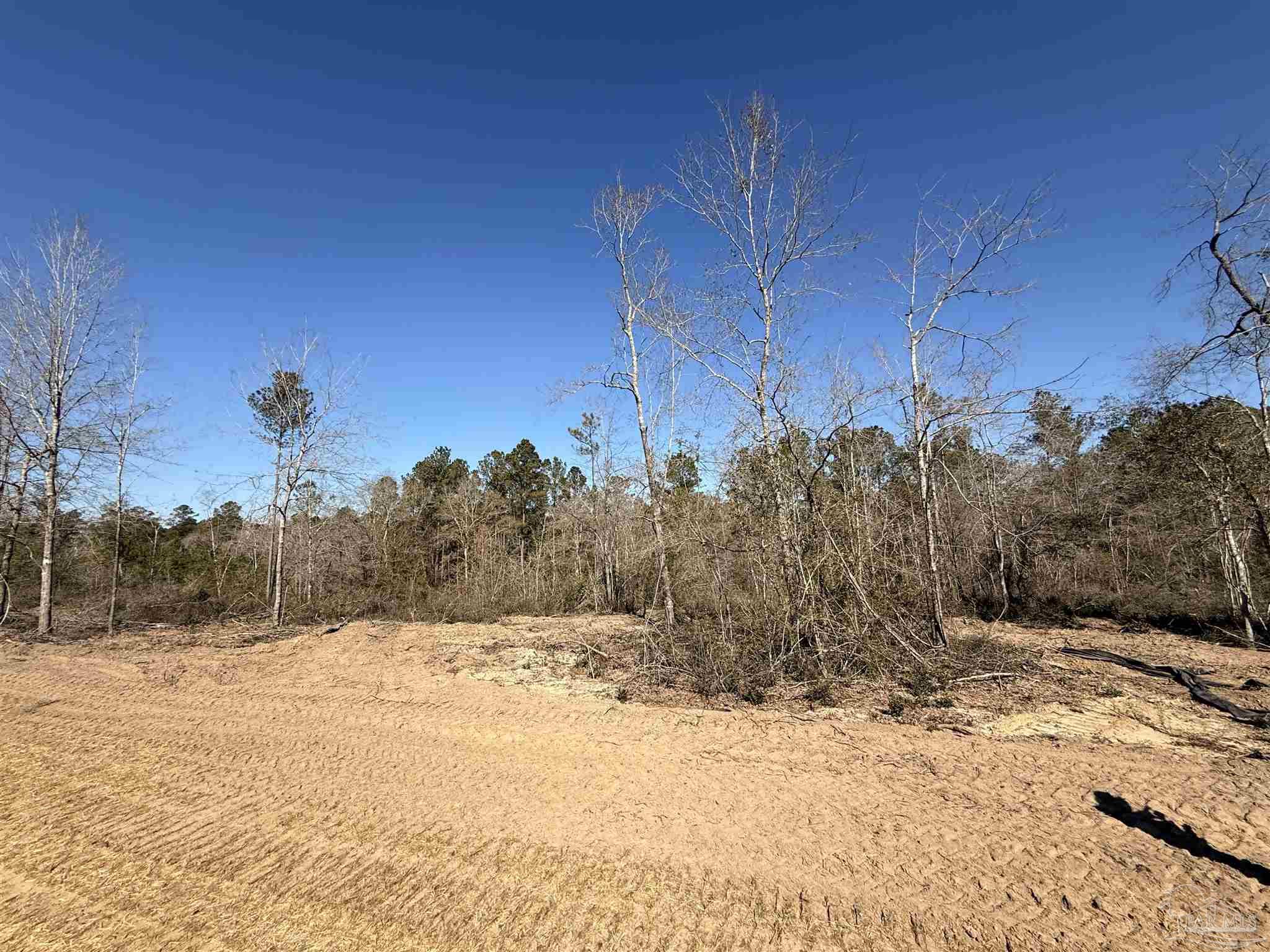 Lot 22 Creek Bluff Drive Pace FL 32571