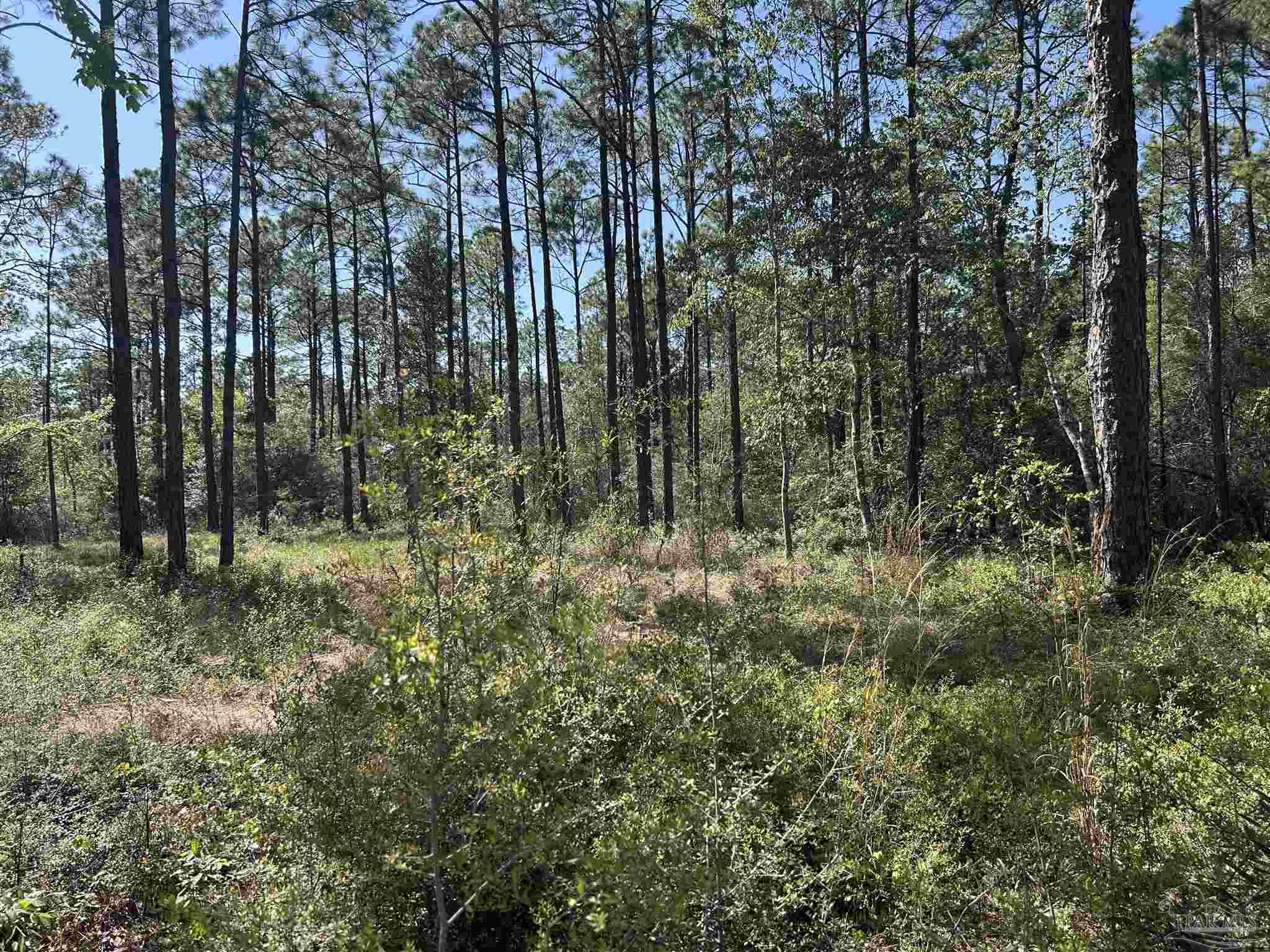 N 14th Avenue Milton FL 32570