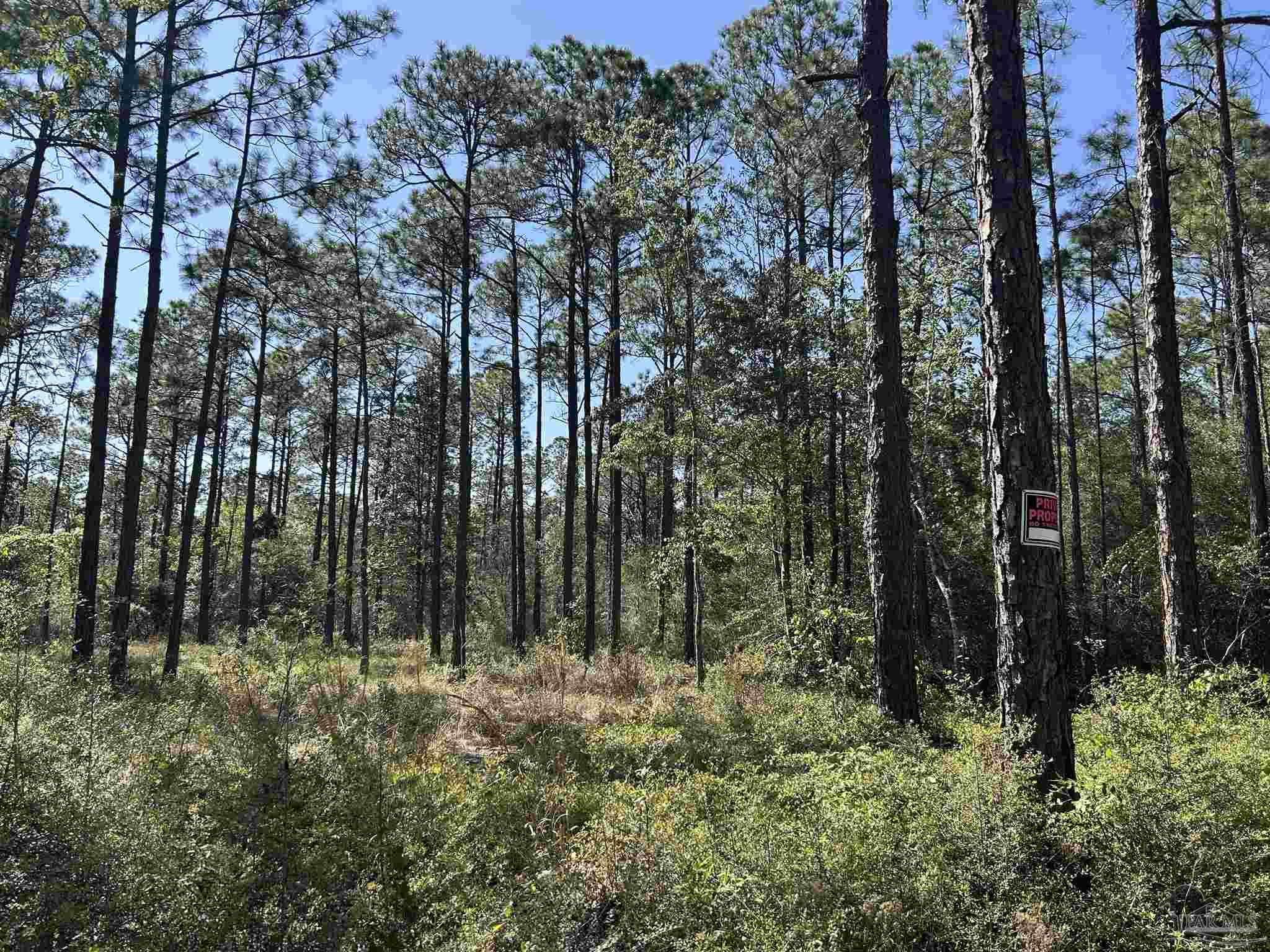 N 14th Avenue Milton FL 32570