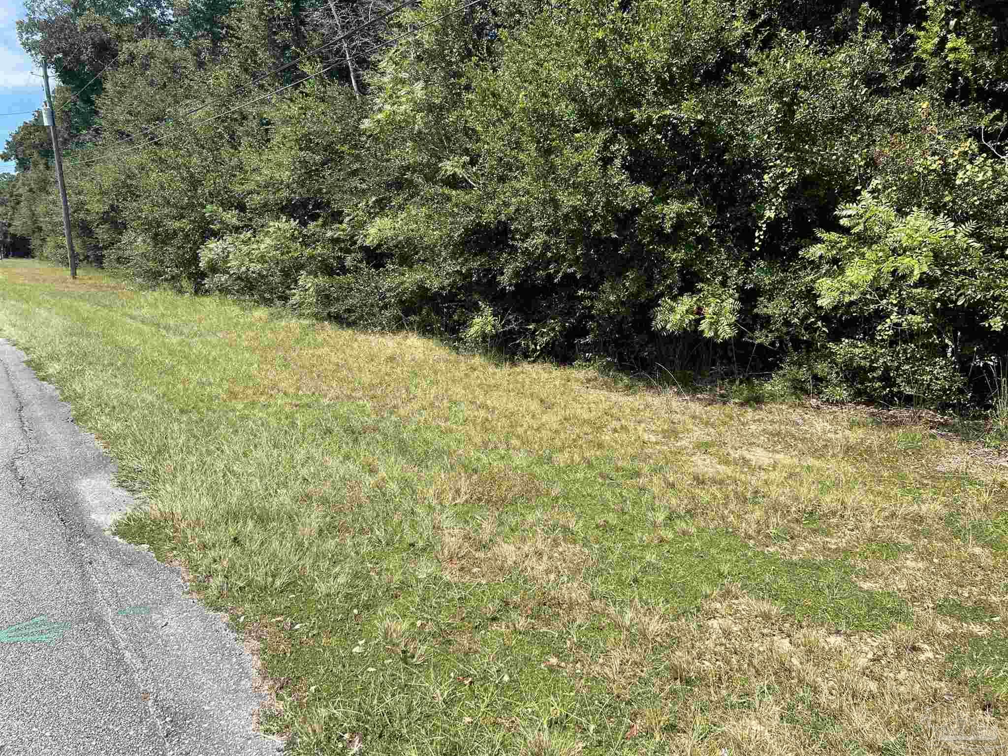 00 Carlyn Drive Pace FL 32571
