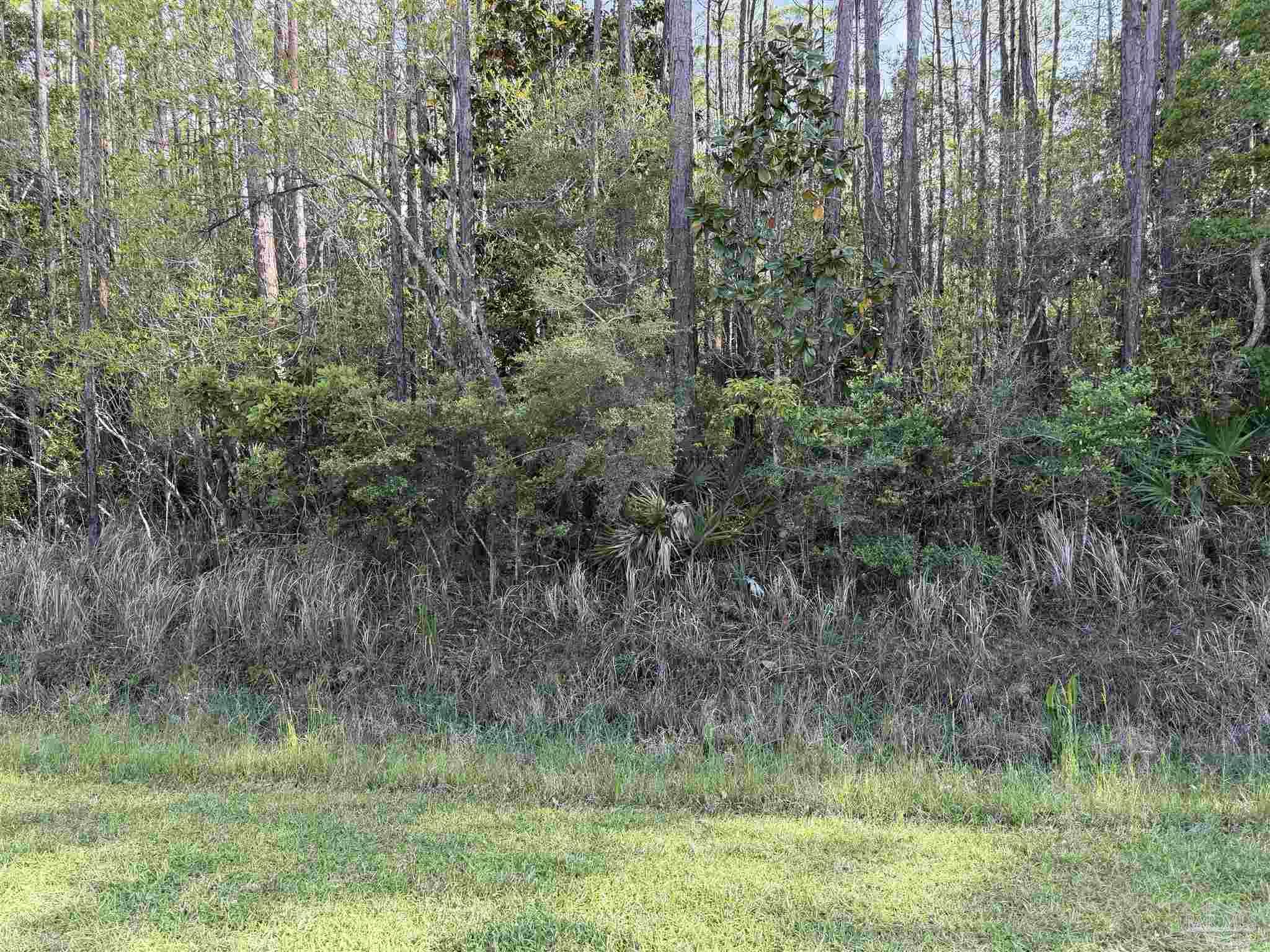 Riola Place Pensacola FL 32506