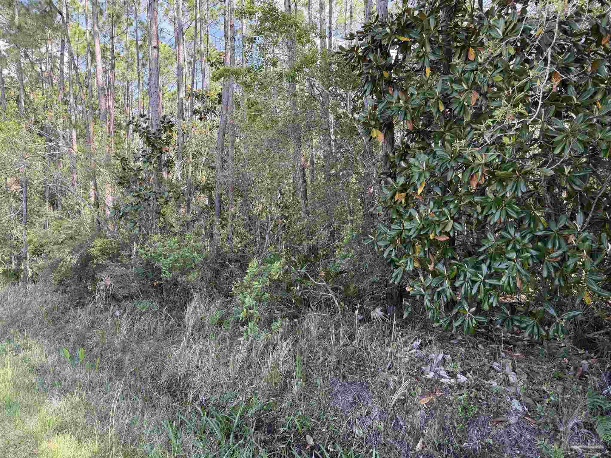 Riola Place Pensacola FL 32506