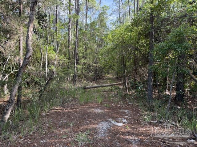 Riola Place Pensacola FL 32506