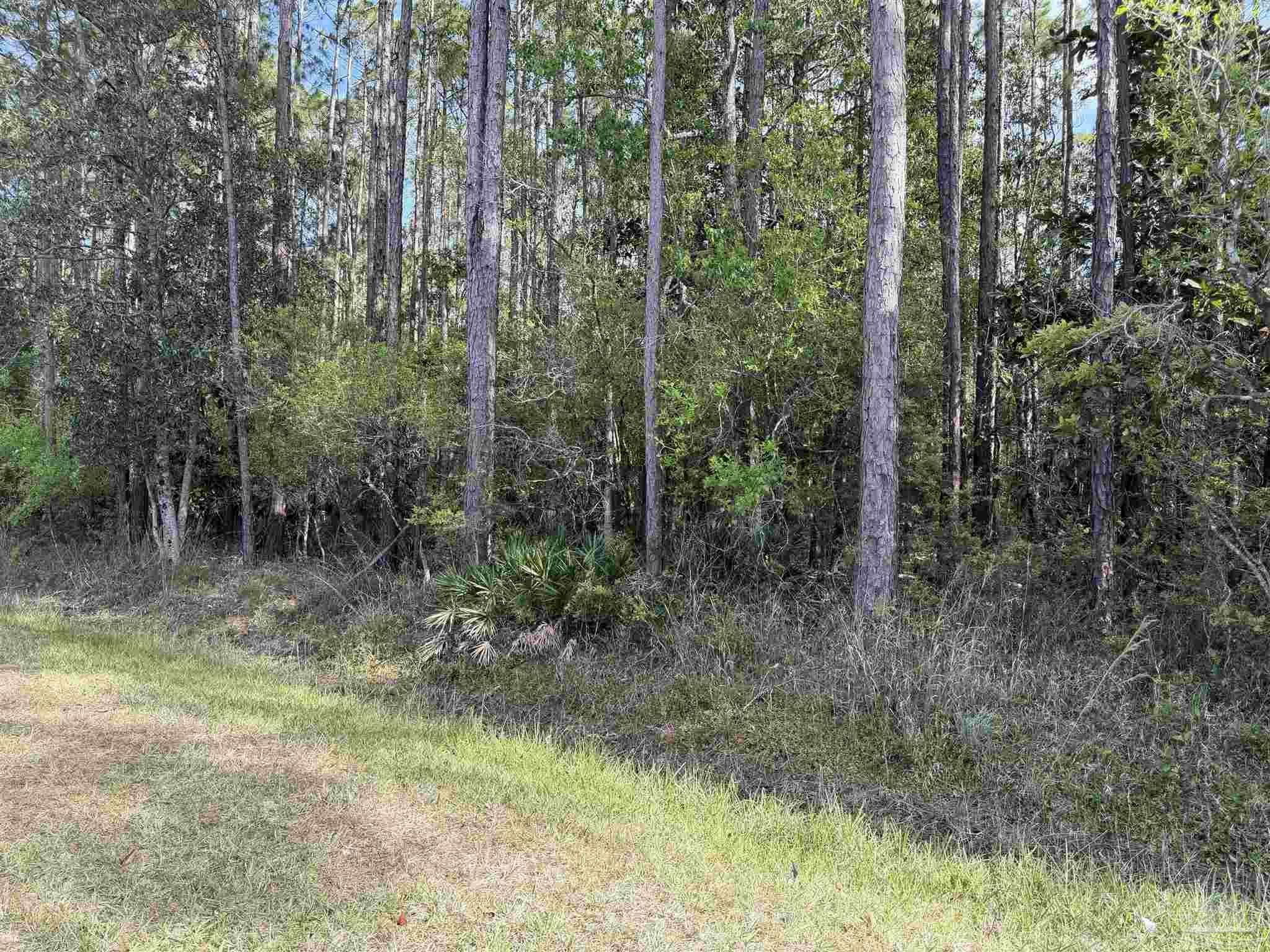 Riola Place Pensacola FL 32506