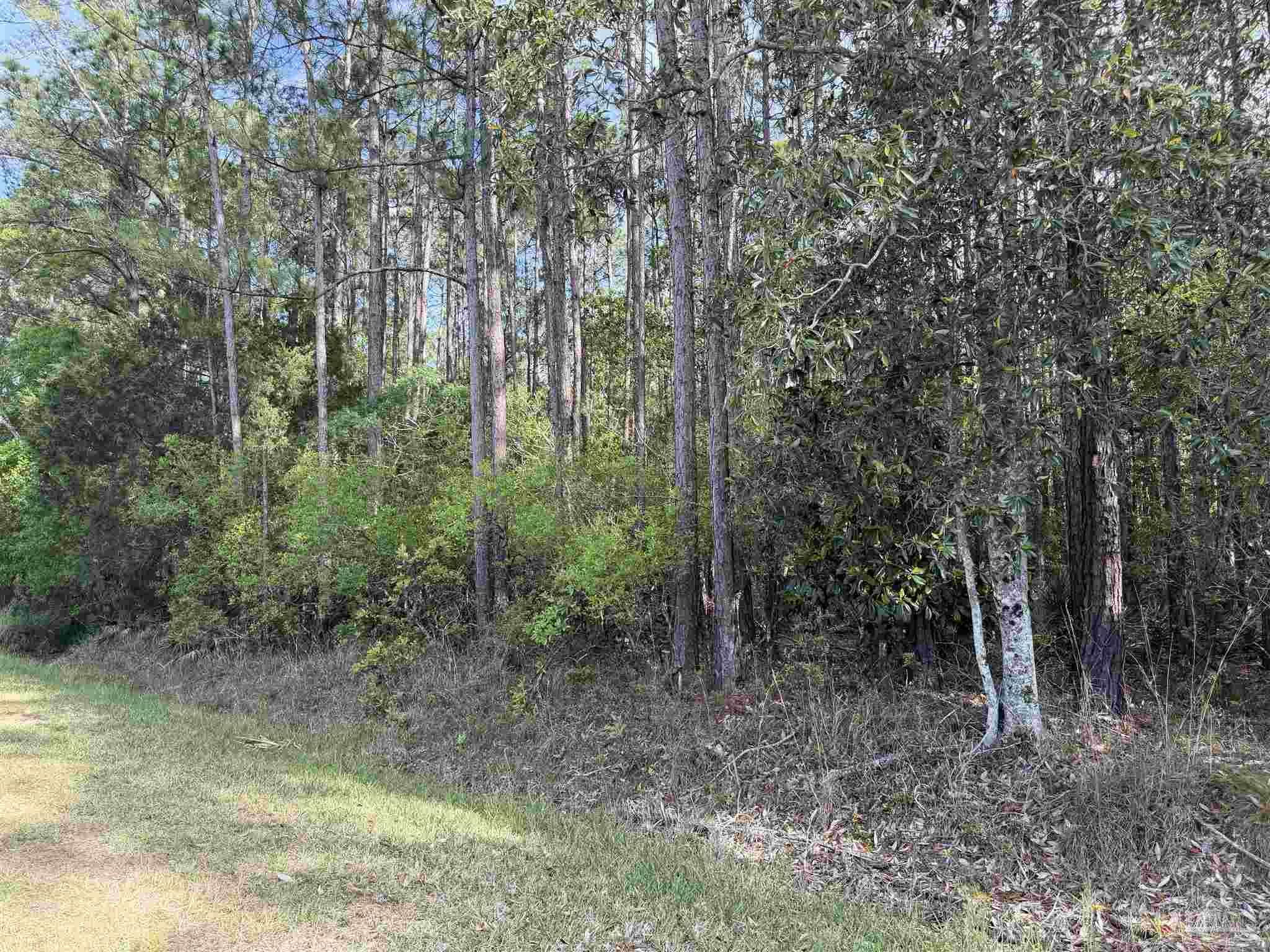 Riola Place Pensacola FL 32506