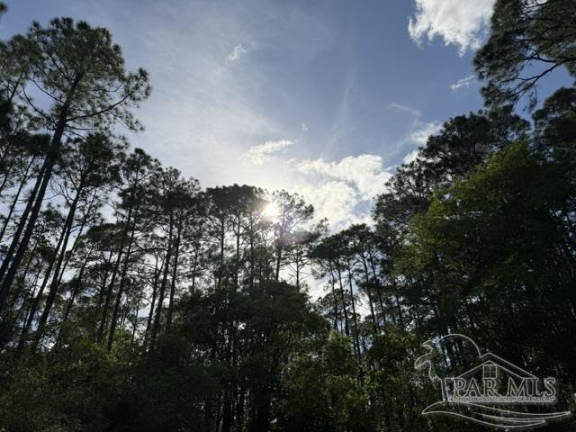 Riola Place Pensacola FL 32506