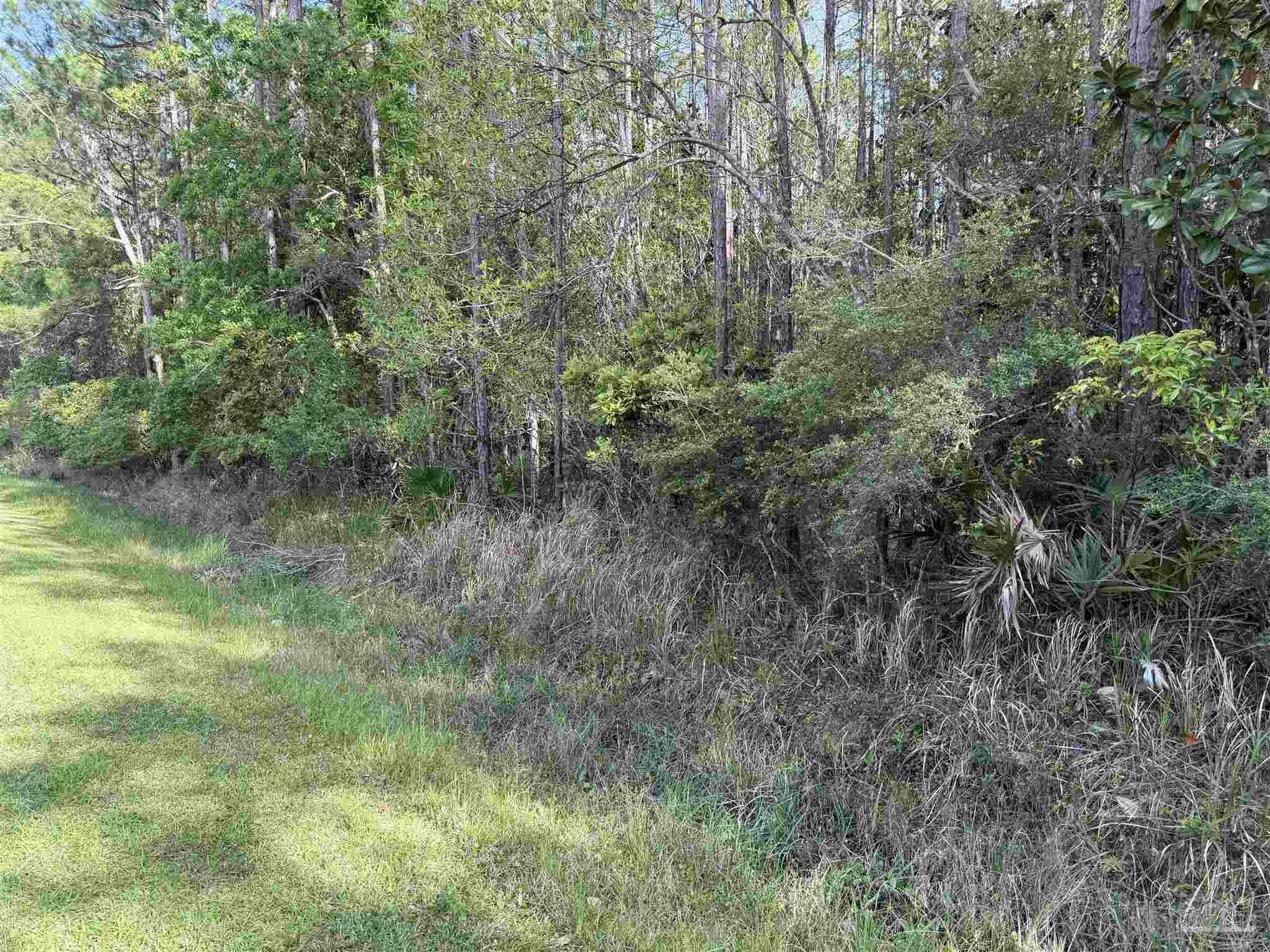 Riola Place Pensacola FL 32506