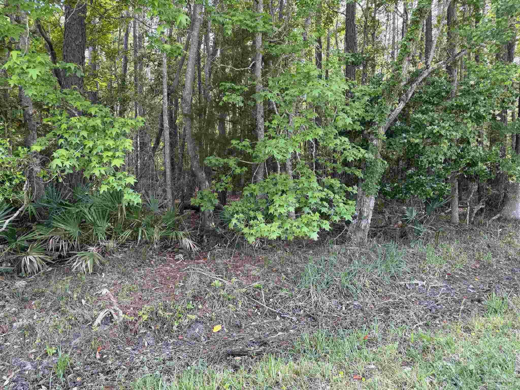 Riola Place Pensacola FL 32506