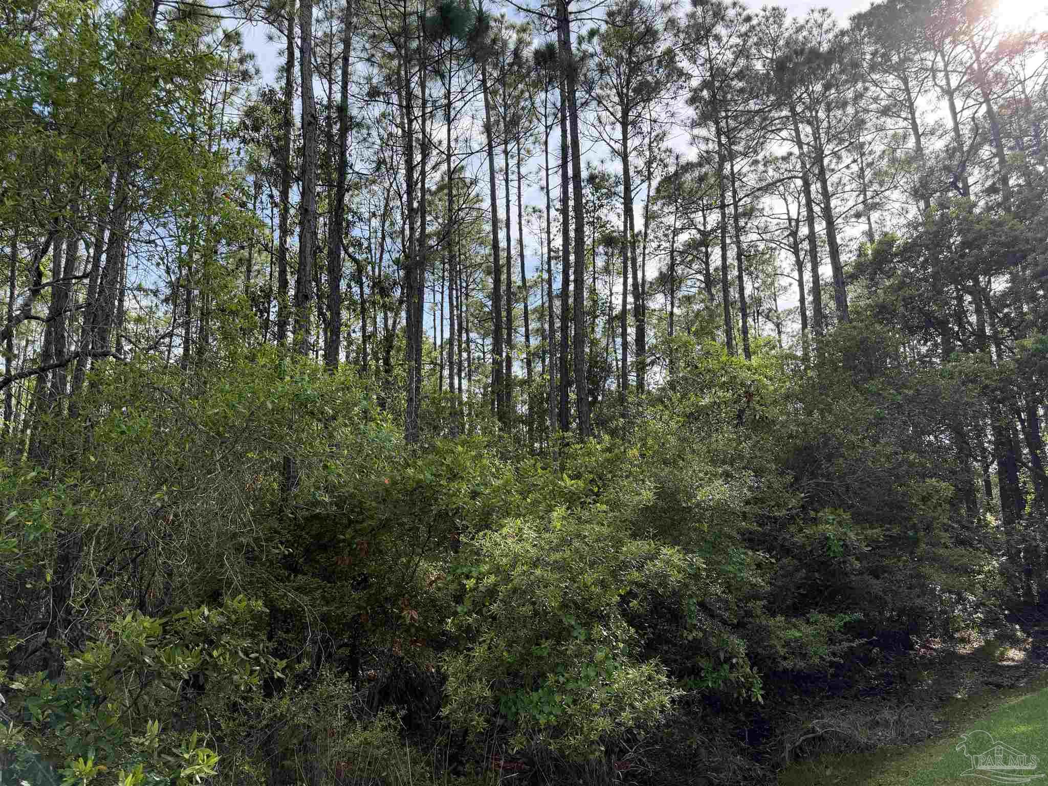 Riola Place Pensacola FL 32506