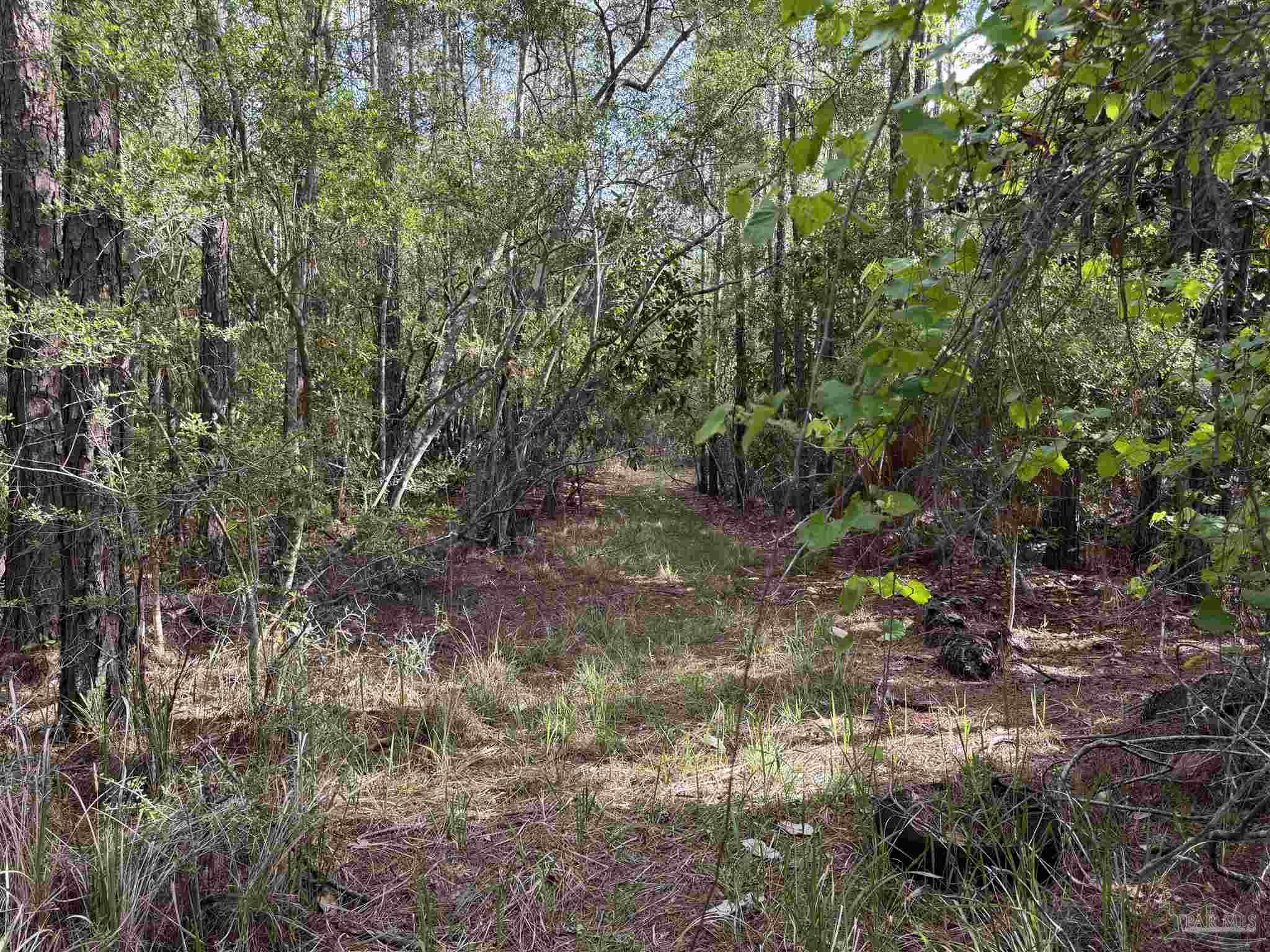 Riola Place Pensacola FL 32506