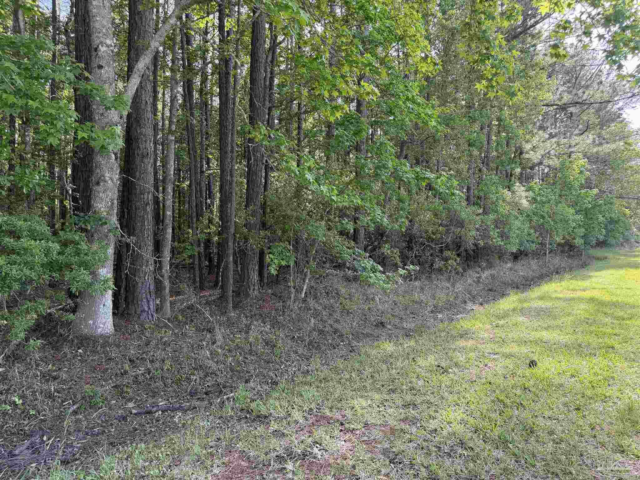 Riola Place Pensacola FL 32506