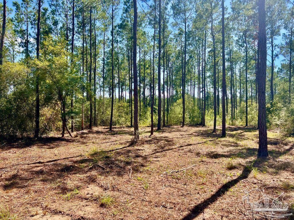 Lot 75 Naturewalk Drive Jay FL 32565