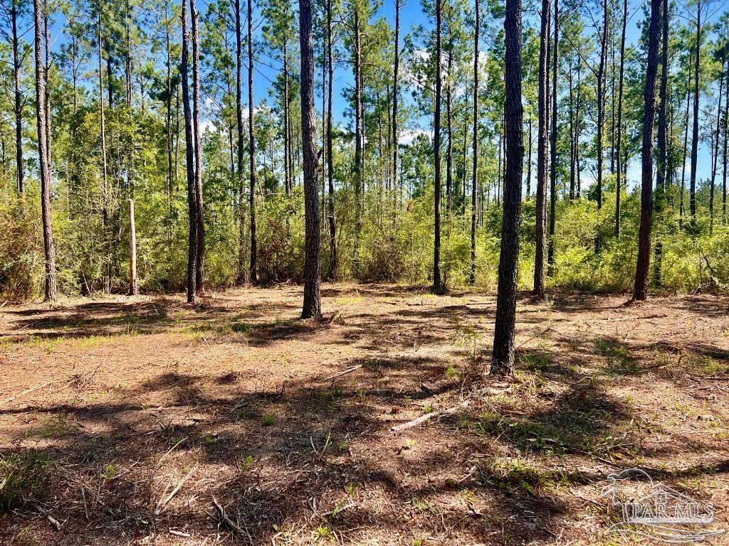 Lot 75 Naturewalk Drive Jay FL 32565