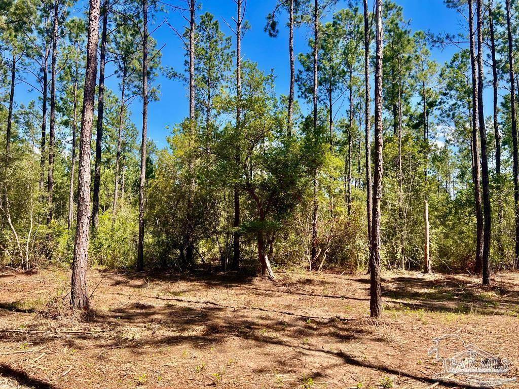 Lot 75 Naturewalk Drive Jay FL 32565