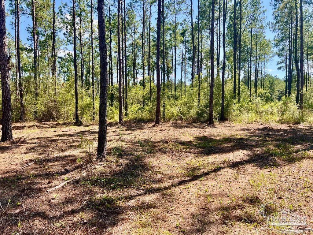 Lot 75 Naturewalk Drive Jay FL 32565