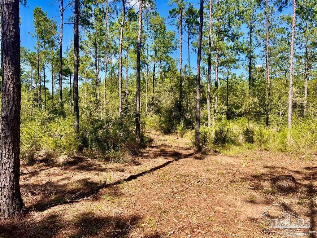 Lot 75 Naturewalk Drive Jay FL 32565
