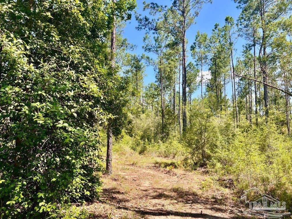 Lot 75 Naturewalk Drive Jay FL 32565