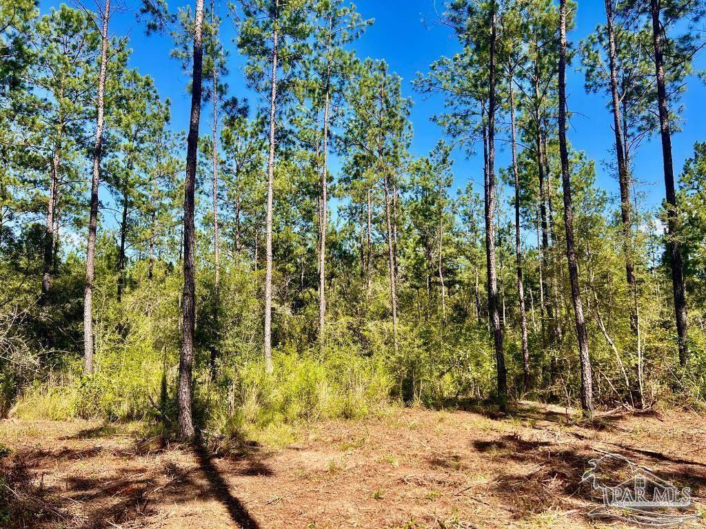 Lot 75 Naturewalk Drive Jay FL 32565