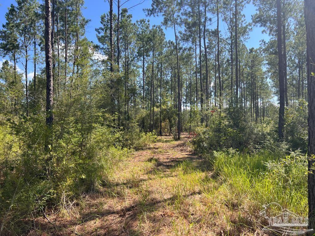 Lot 75 Naturewalk Drive Jay FL 32565