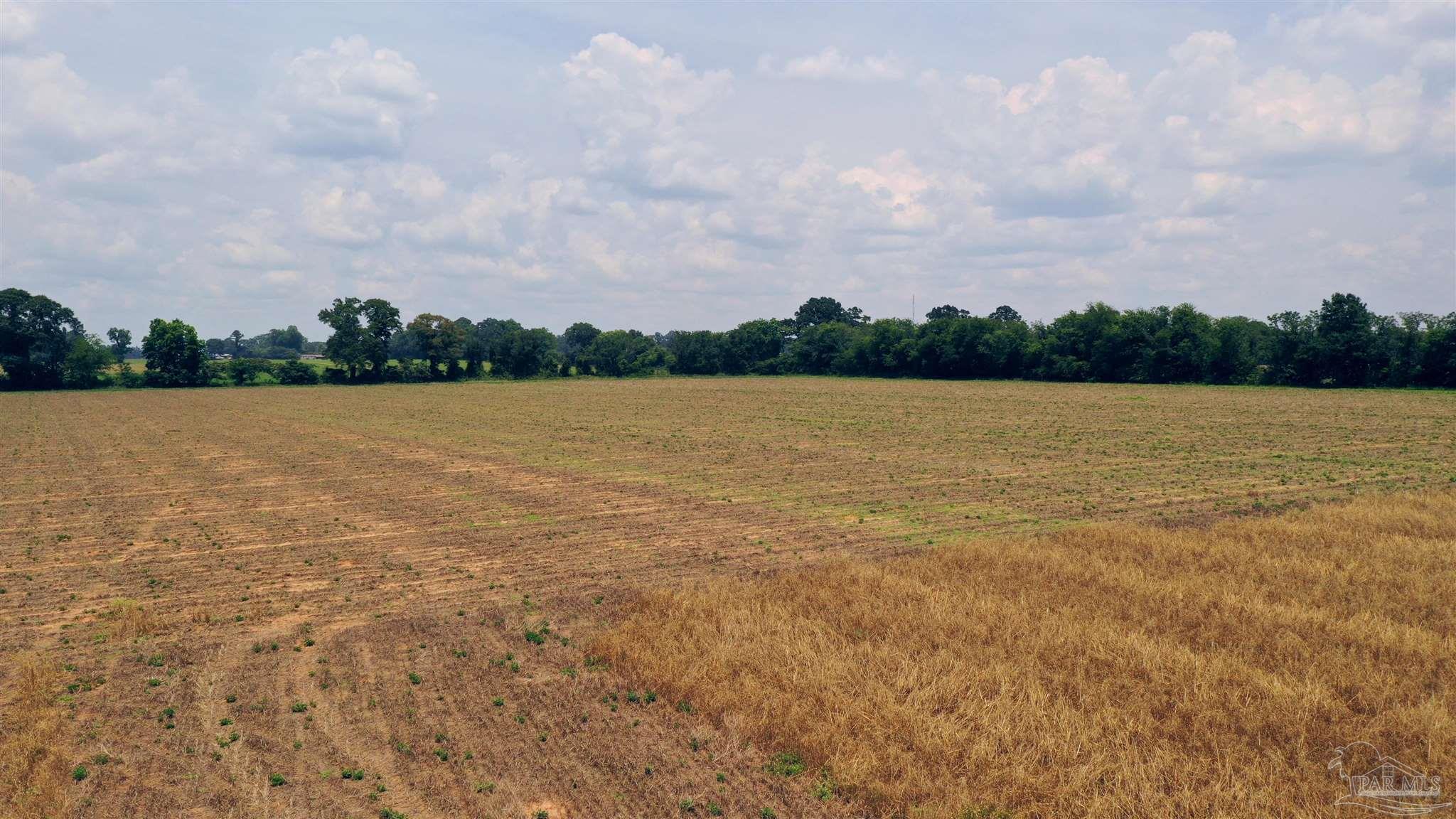 2 Shell Road Jay FL 32565