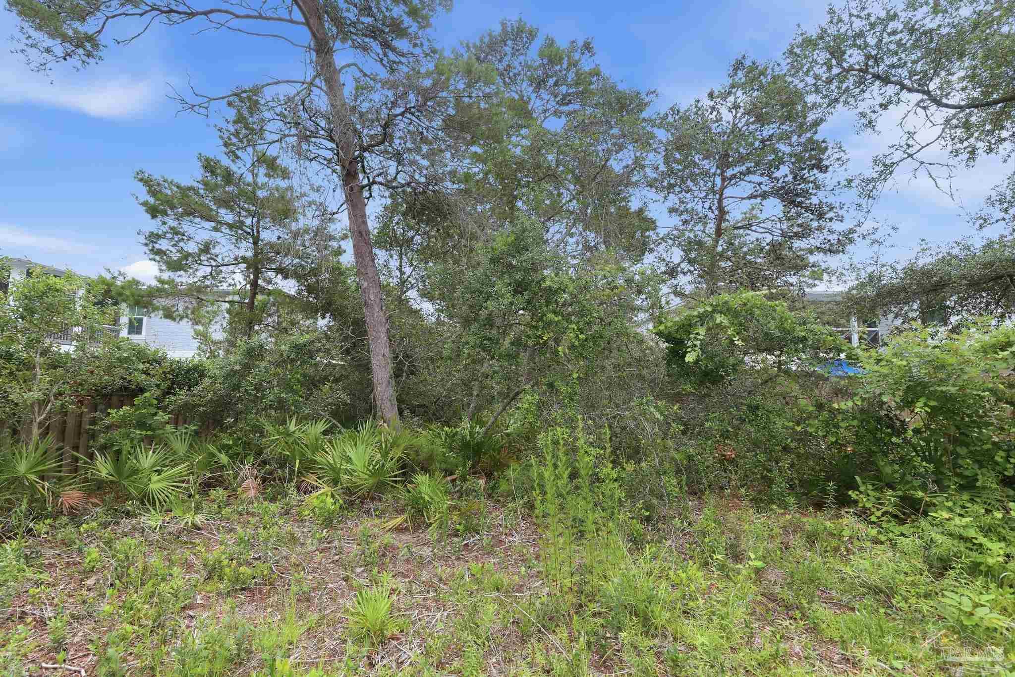 0 Dalton St Lot 37 Santa Rosa Beach FL 32459