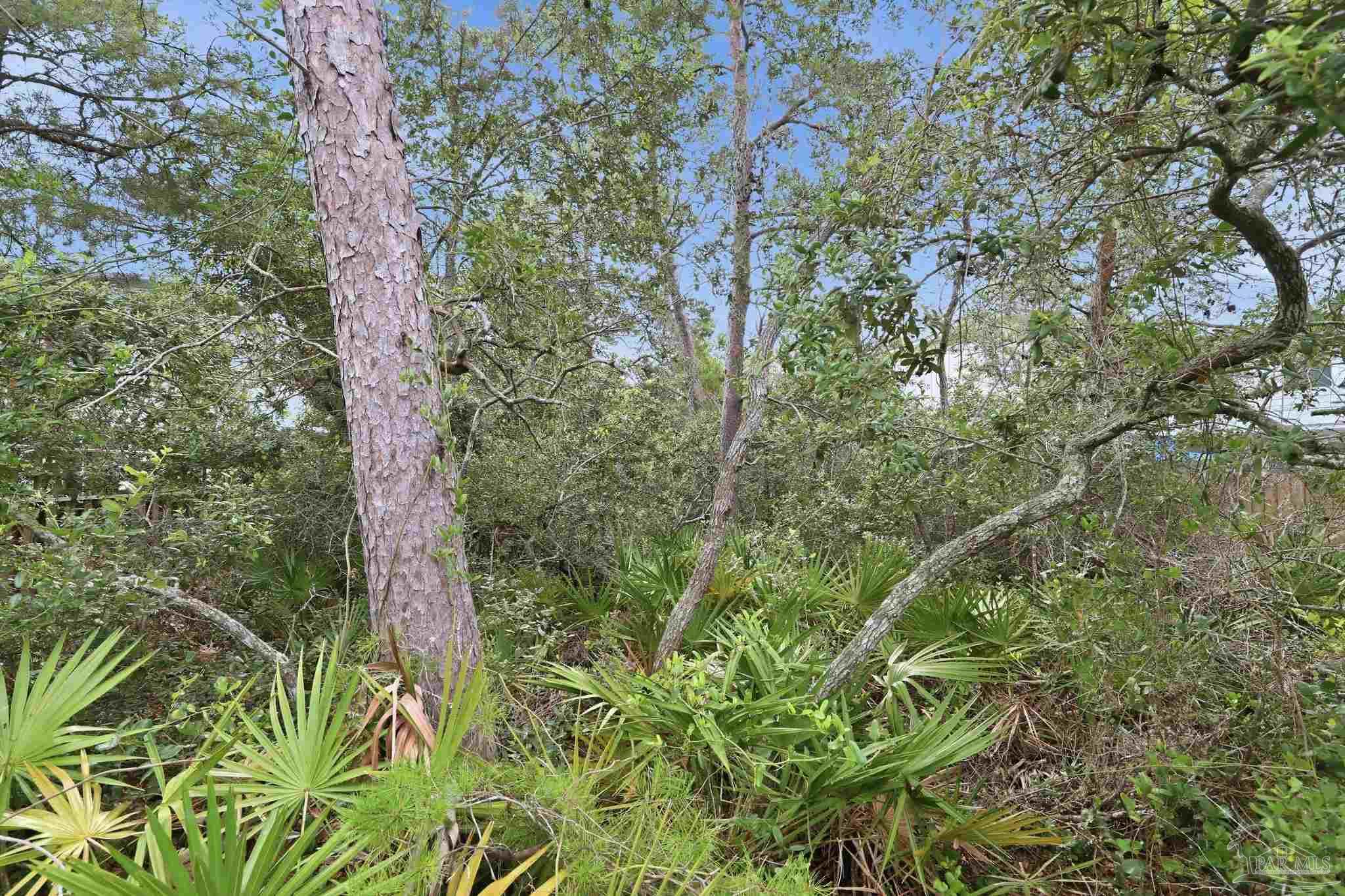 0 Dalton St Lot 37 Santa Rosa Beach FL 32459