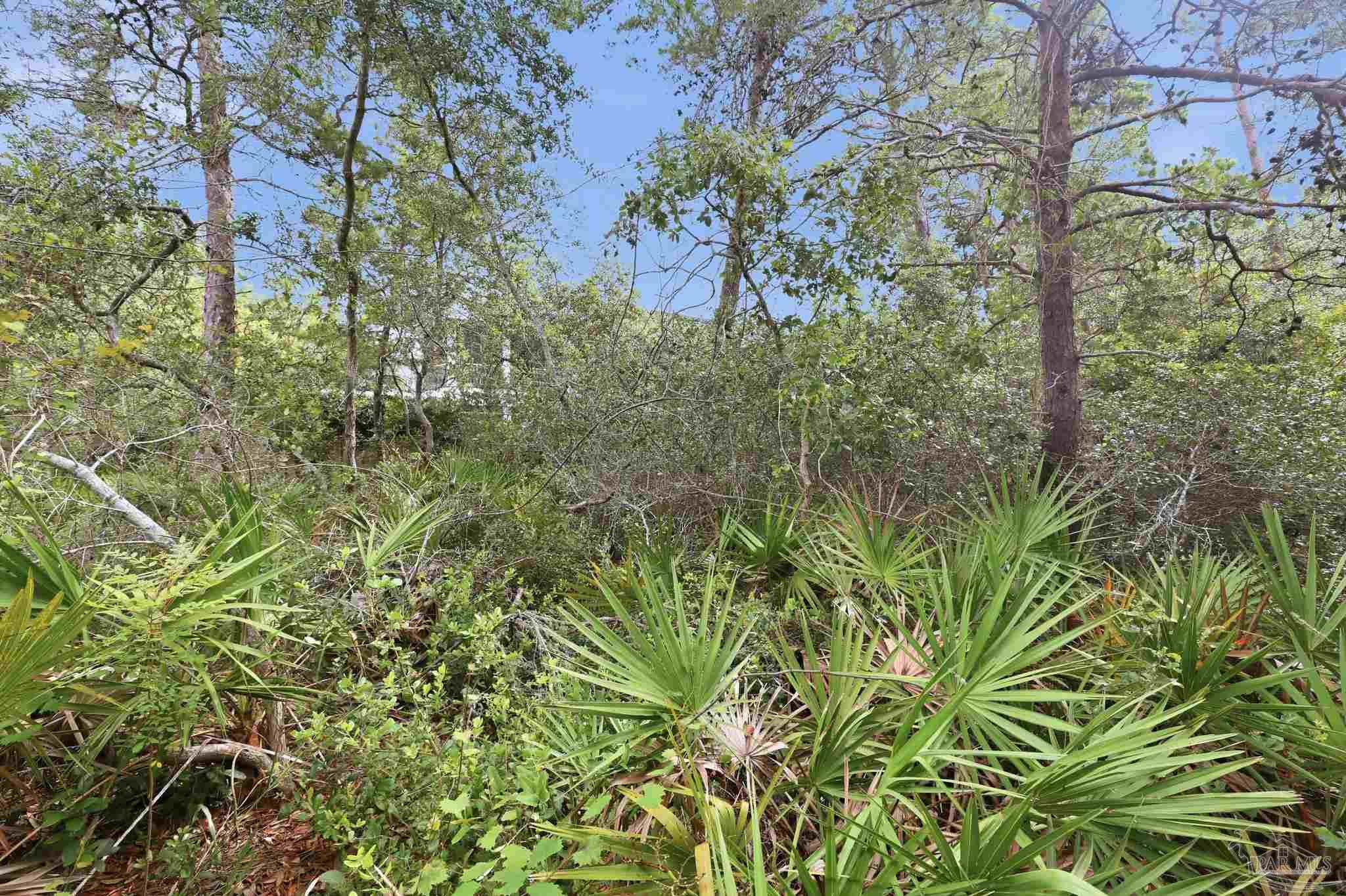 0 Dalton St Lot 37 Santa Rosa Beach FL 32459