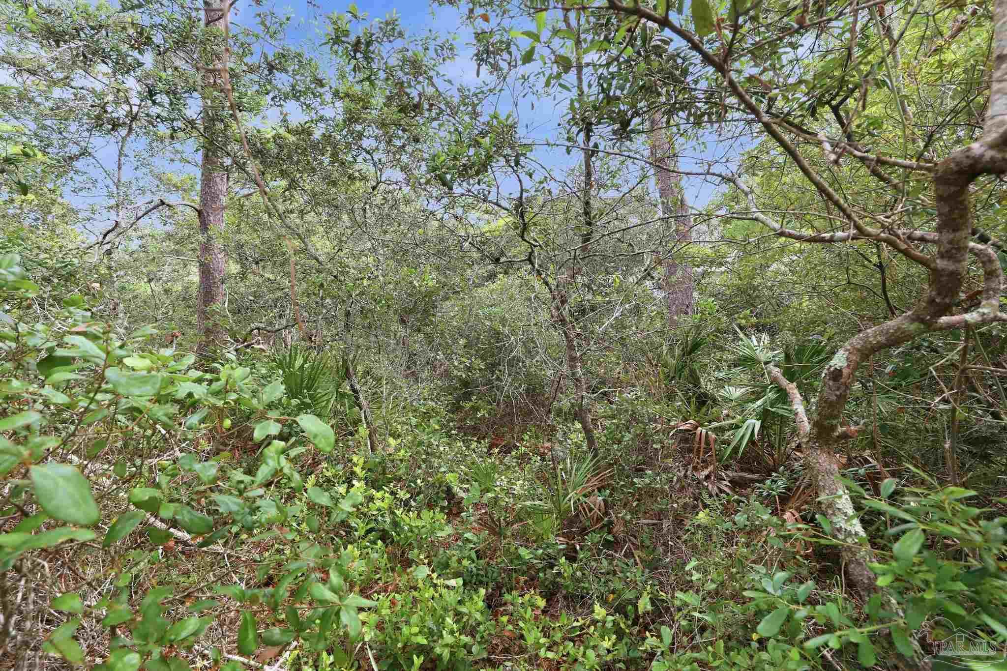 0 Dalton St Lot 37 Santa Rosa Beach FL 32459