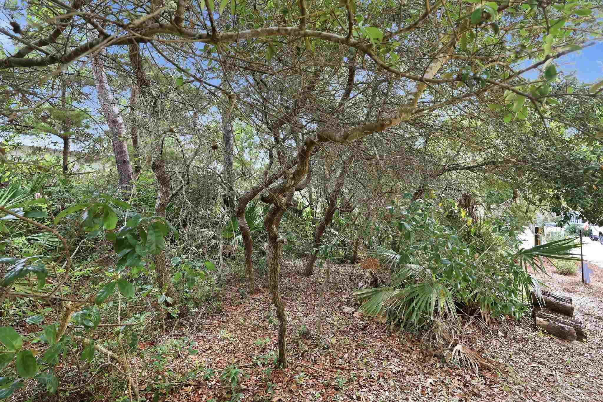 0 Dalton St Lot 37 Santa Rosa Beach FL 32459