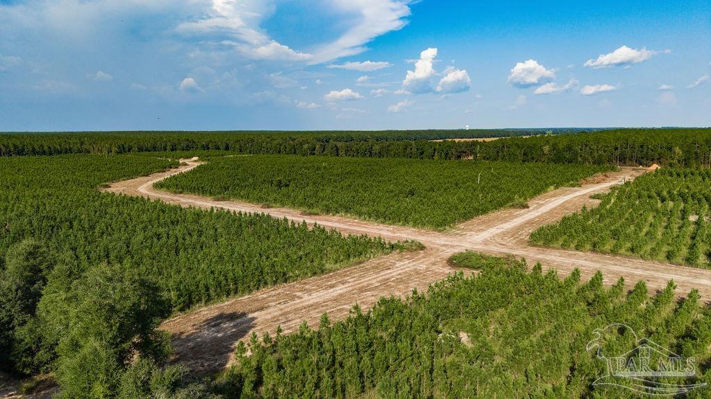 Lot 87 Posie Forest Road Milton FL 32570