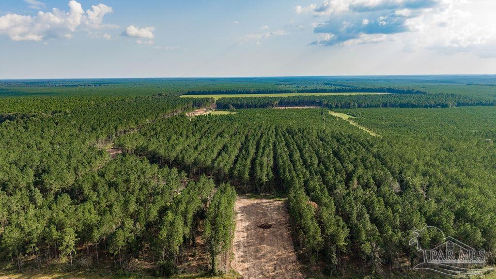 Lot 87 Posie Forest Road Milton FL 32570