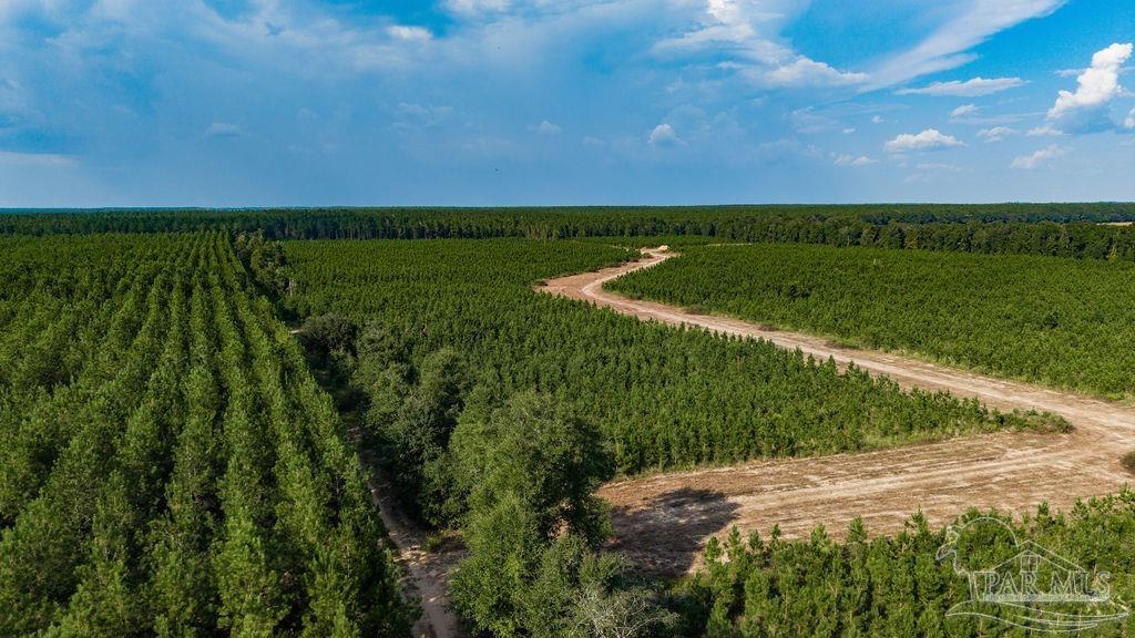 Lot 87 Posie Forest Road Milton FL 32570
