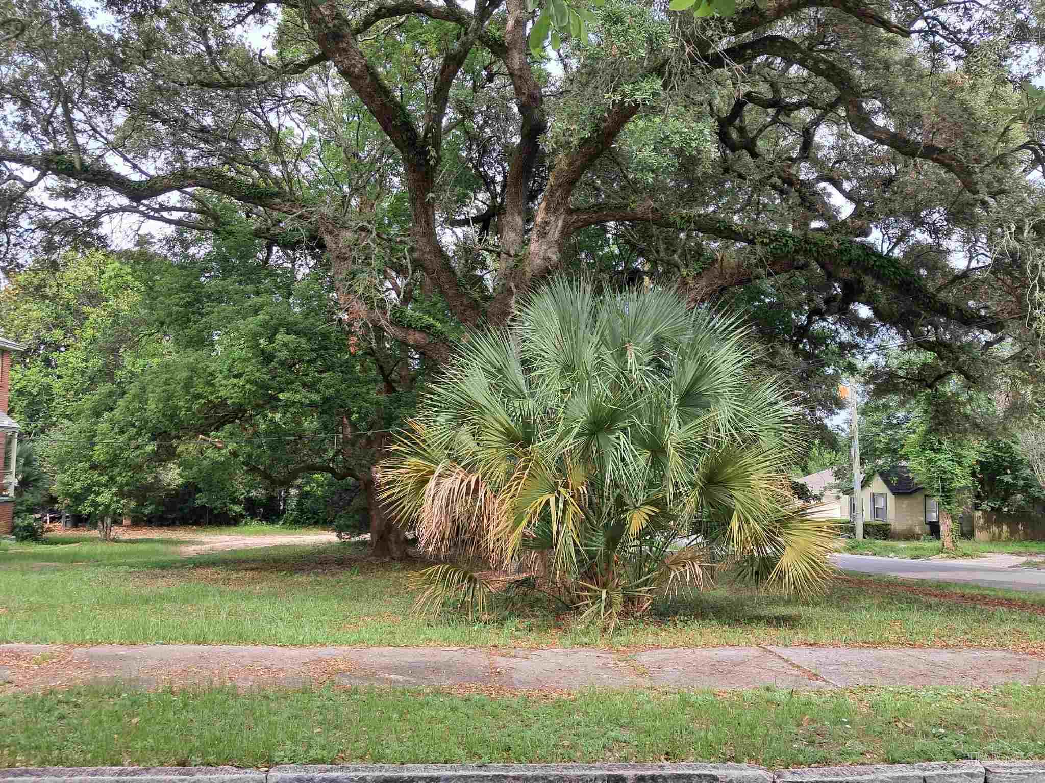 1000 Blk N Palafox Pensacola FL 32501