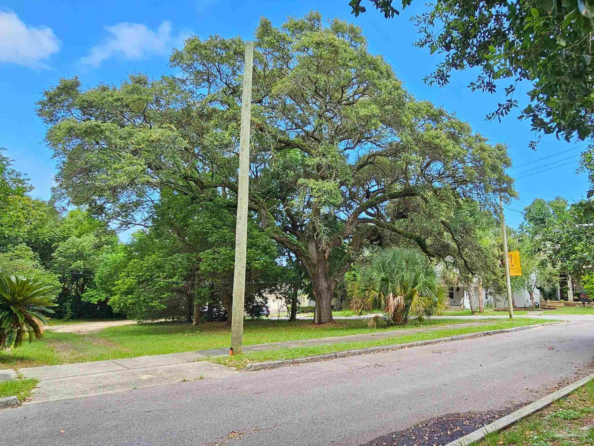 1000 Blk N Palafox Pensacola FL 32501