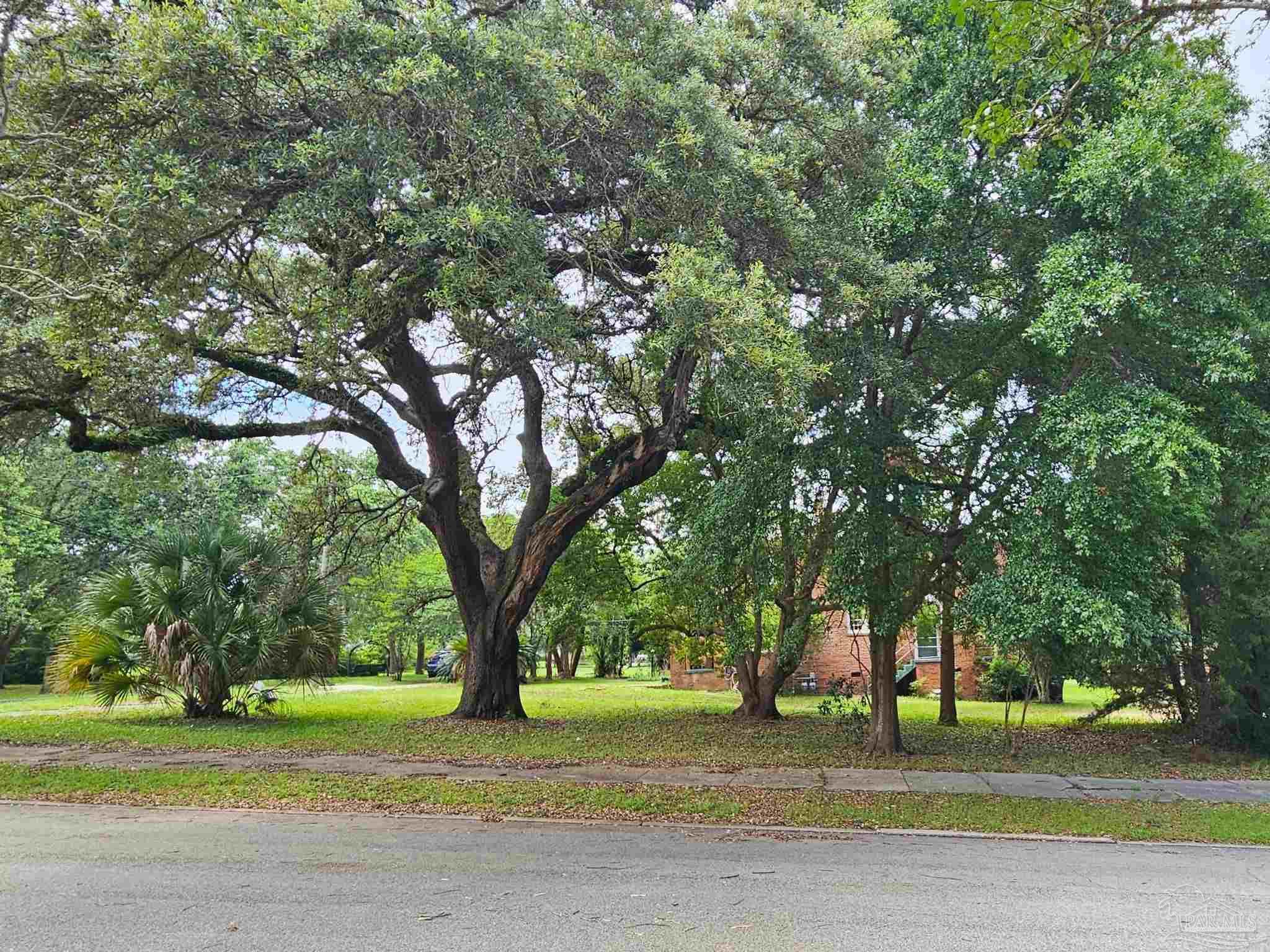 1000 Blk N Palafox Pensacola FL 32501