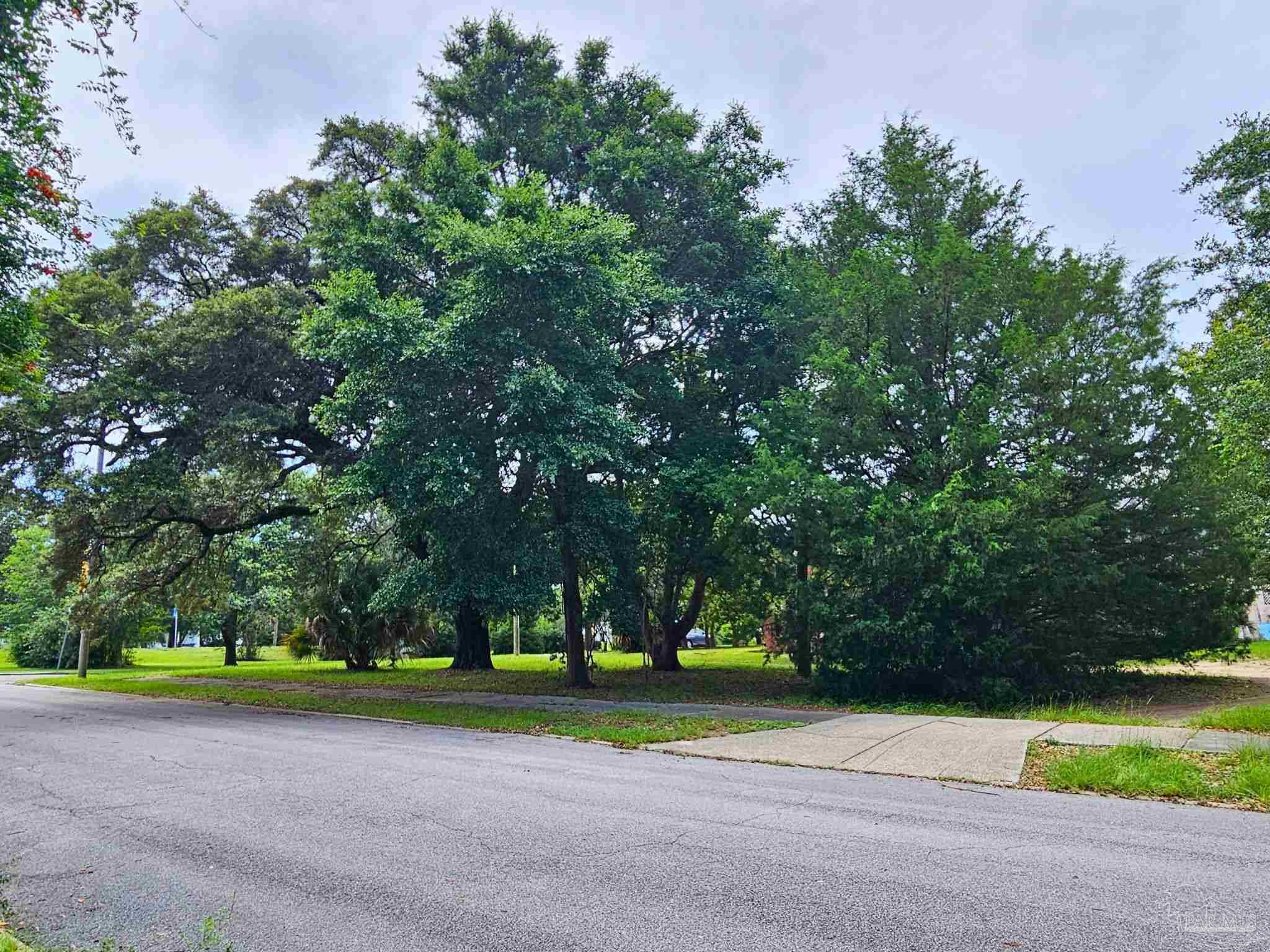 1000 Blk N Palafox Pensacola FL 32501