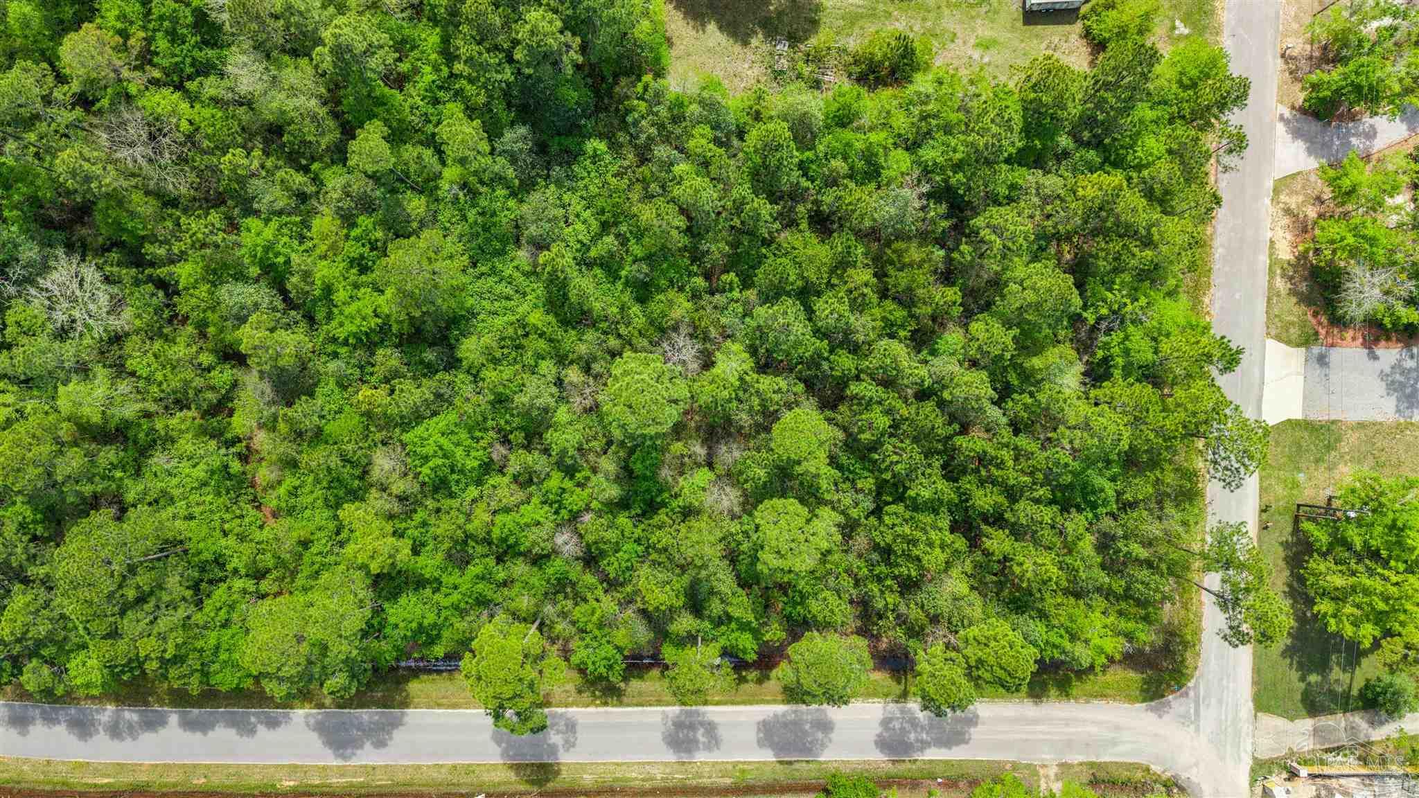Tanbark Drive Milton FL 32583