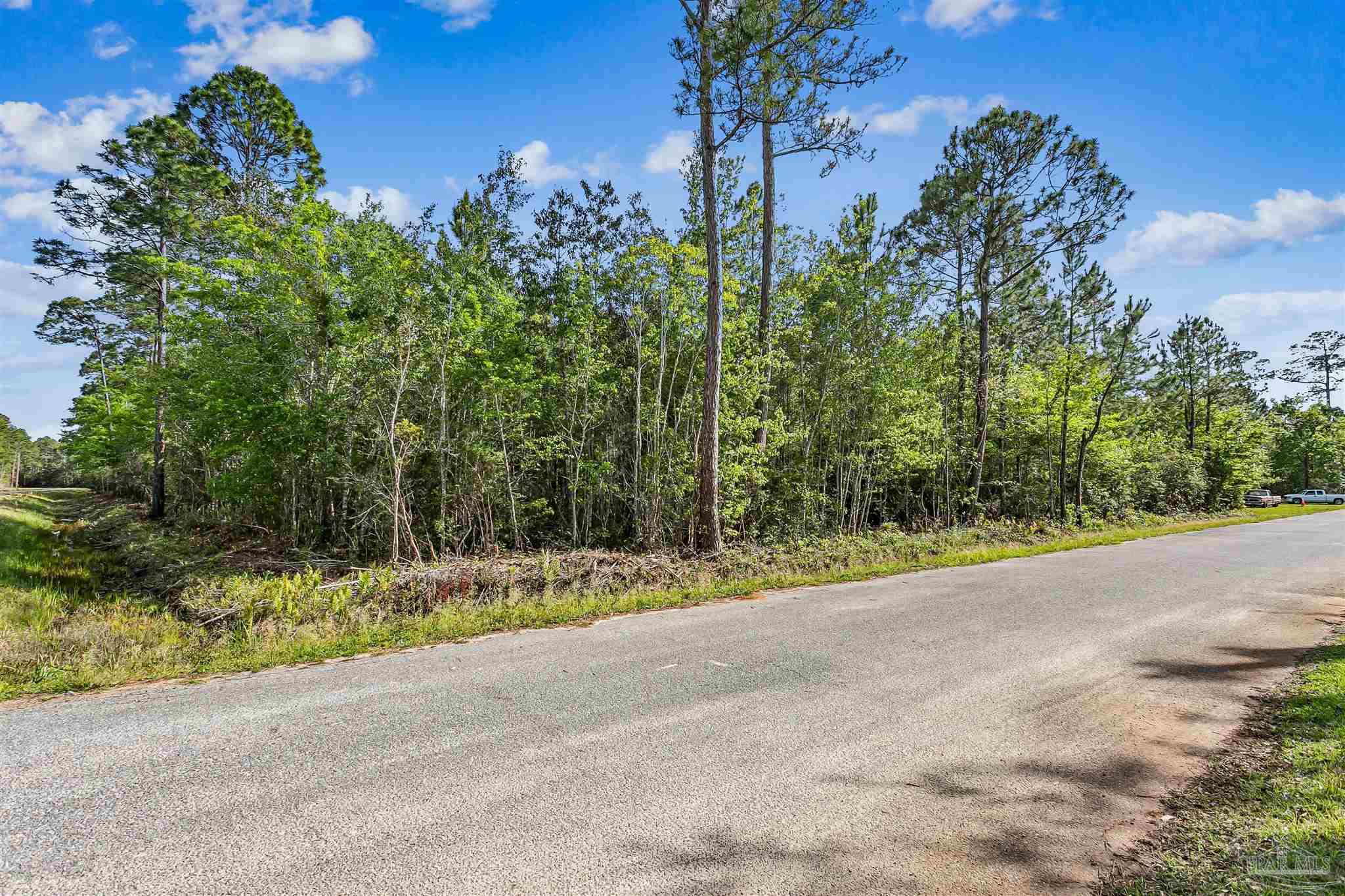 Tanbark Drive Milton FL 32583