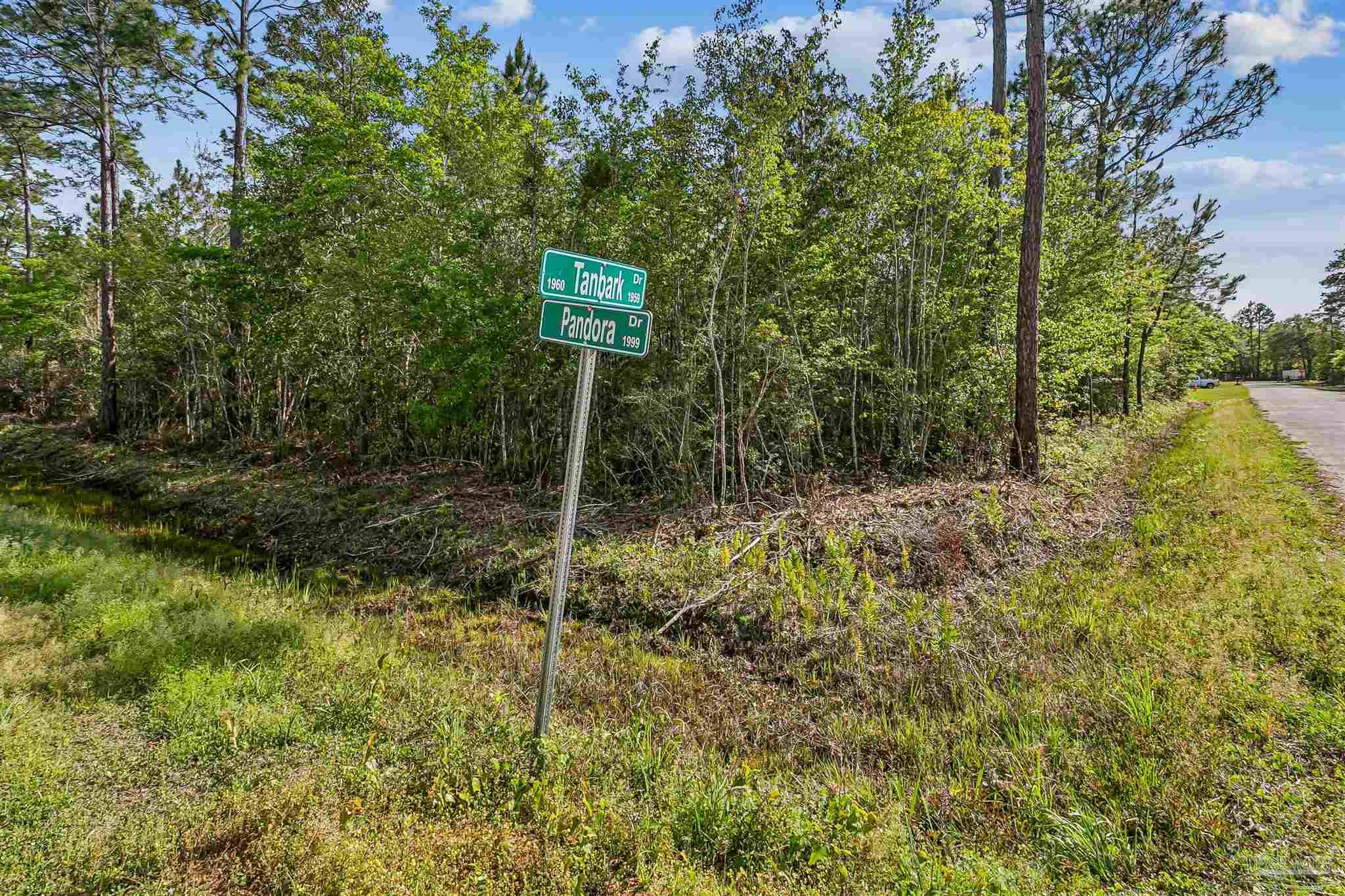 Tanbark Drive Milton FL 32583
