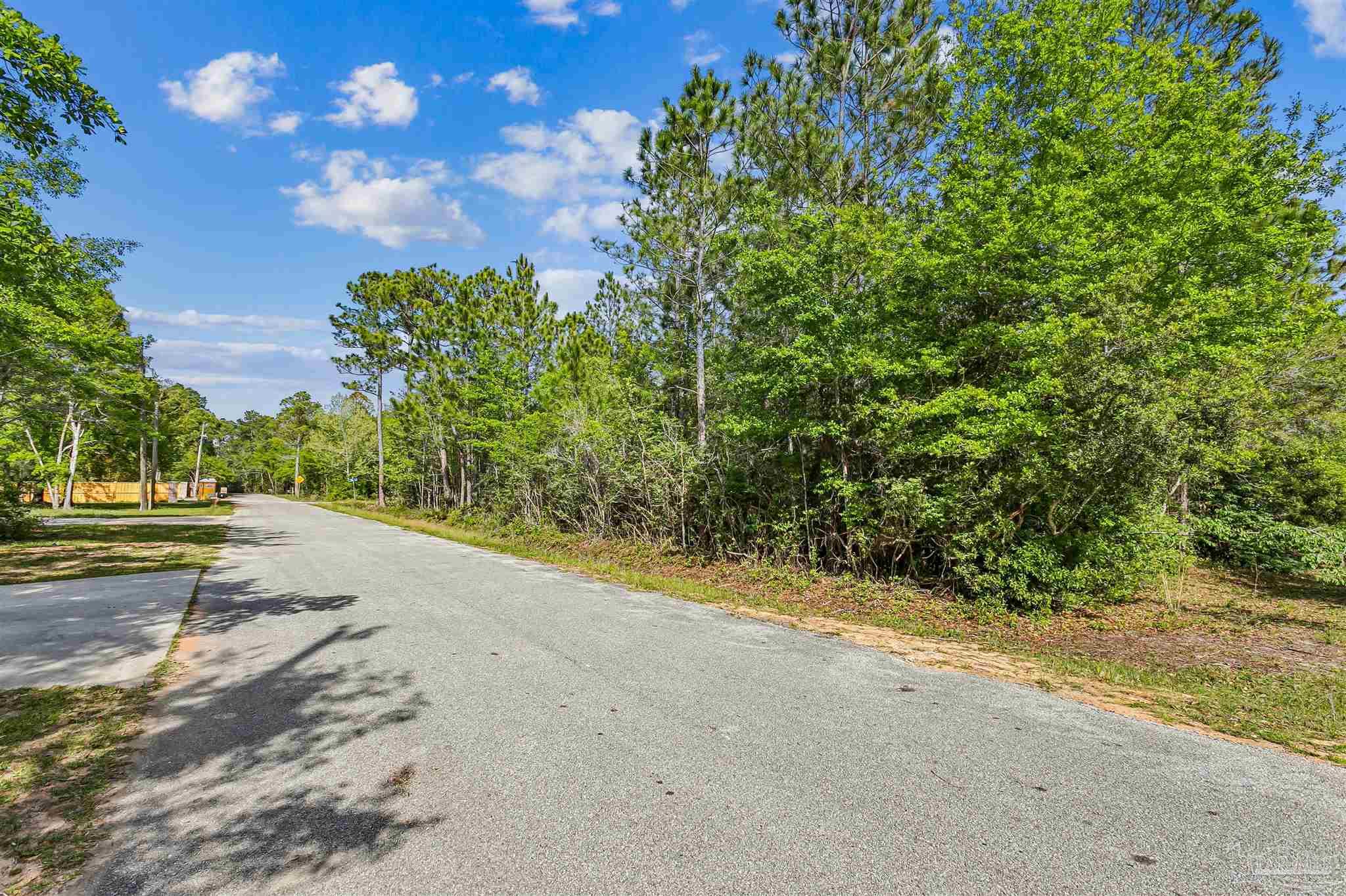 Tanbark Drive Milton FL 32583