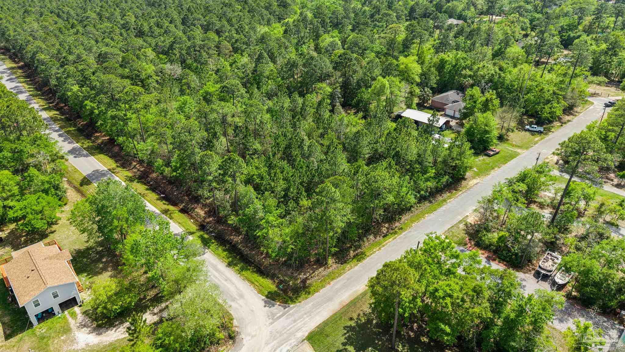 Tanbark Drive Milton FL 32583