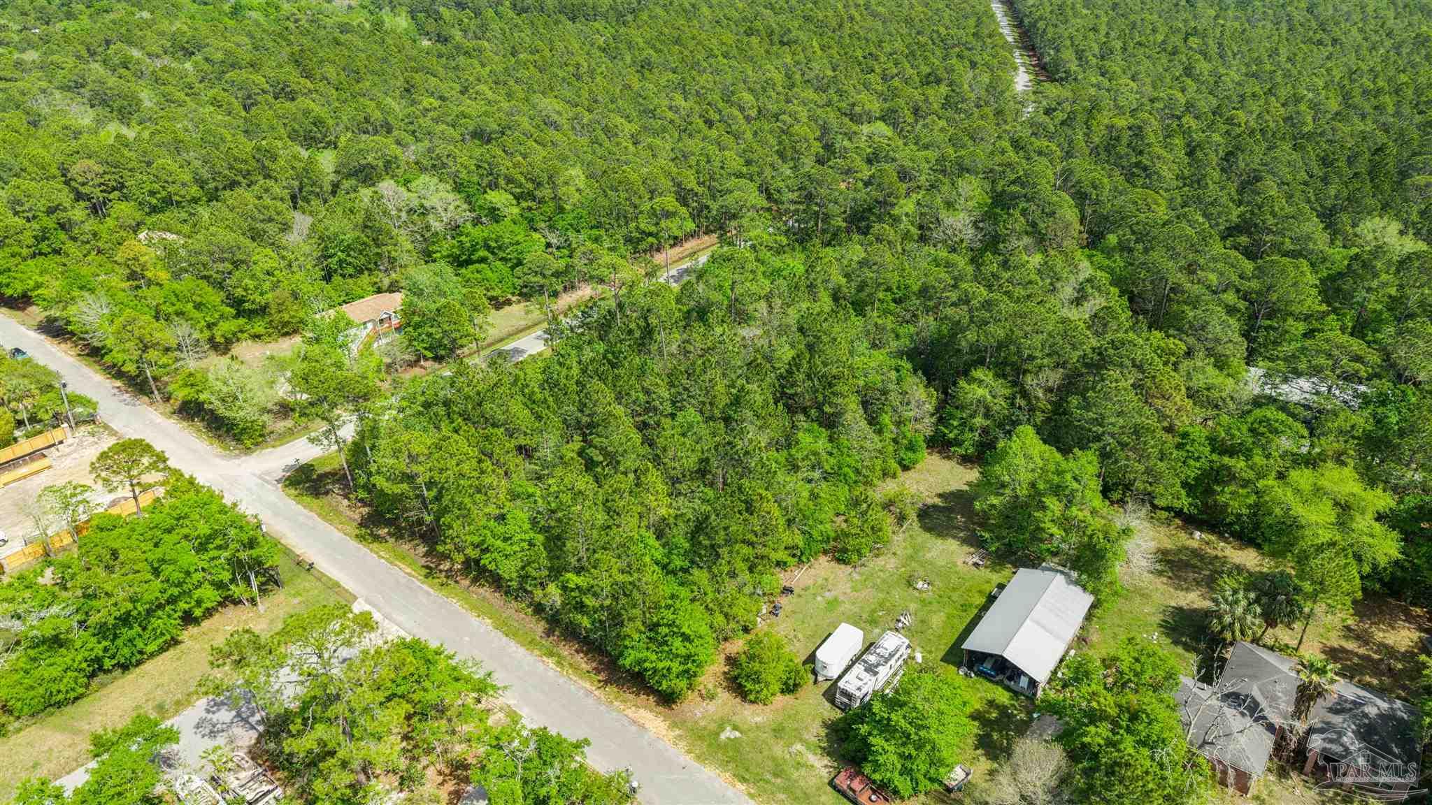 Tanbark Drive Milton FL 32583
