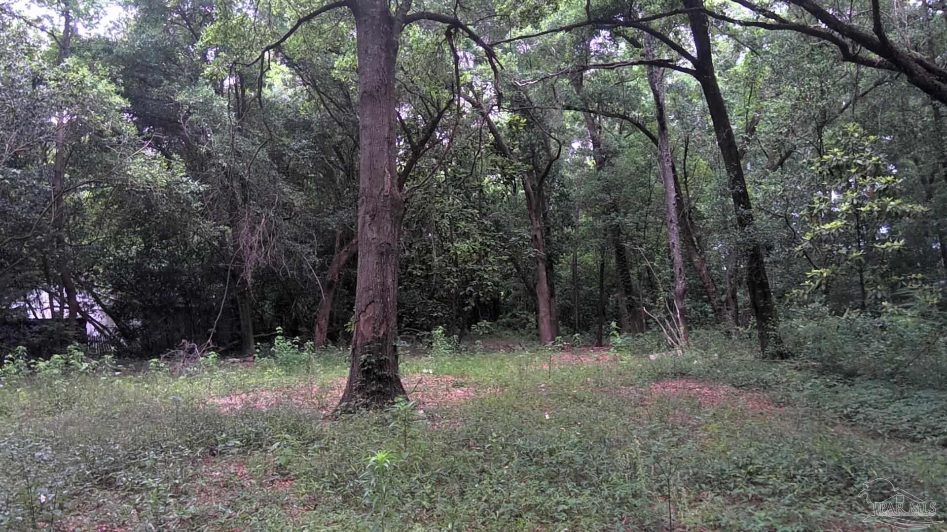 1310 Burgess Road Pensacola FL 32504