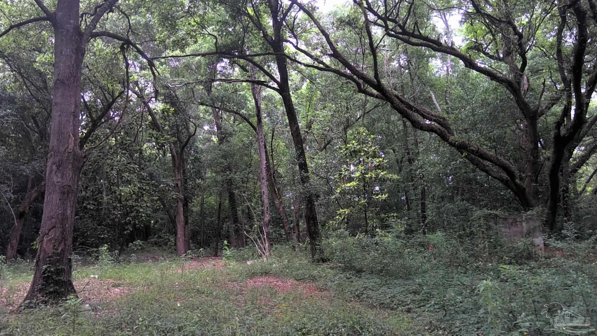 1310 Burgess Road Pensacola FL 32504