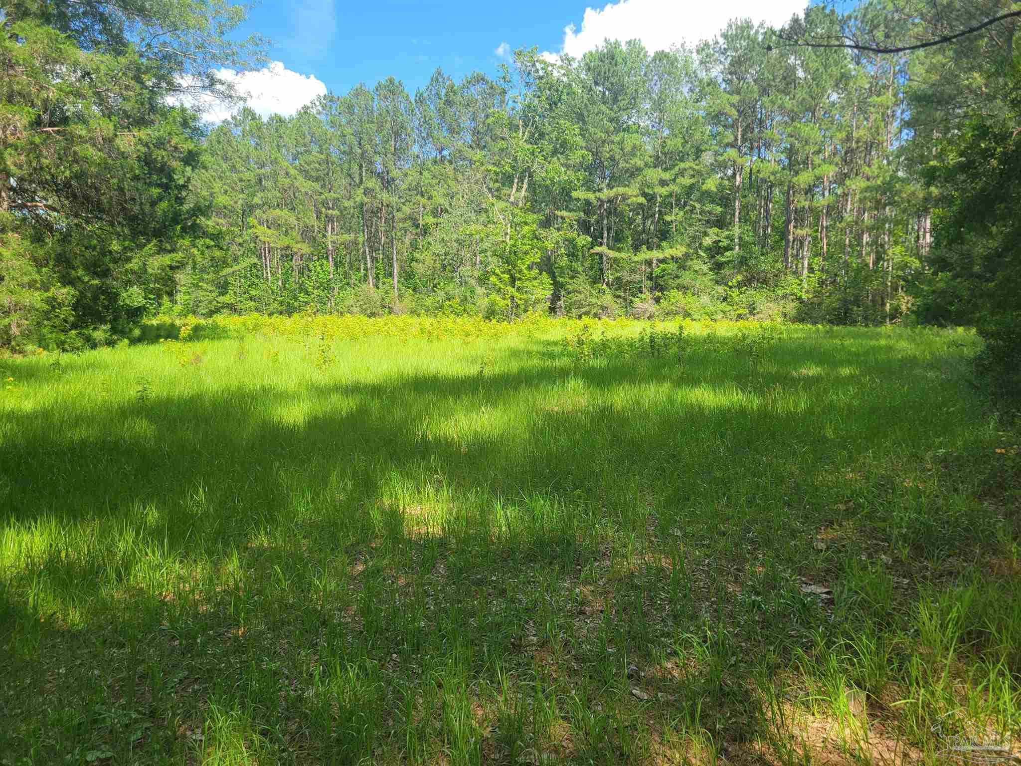8223 N Highway 189 Baker FL 32531