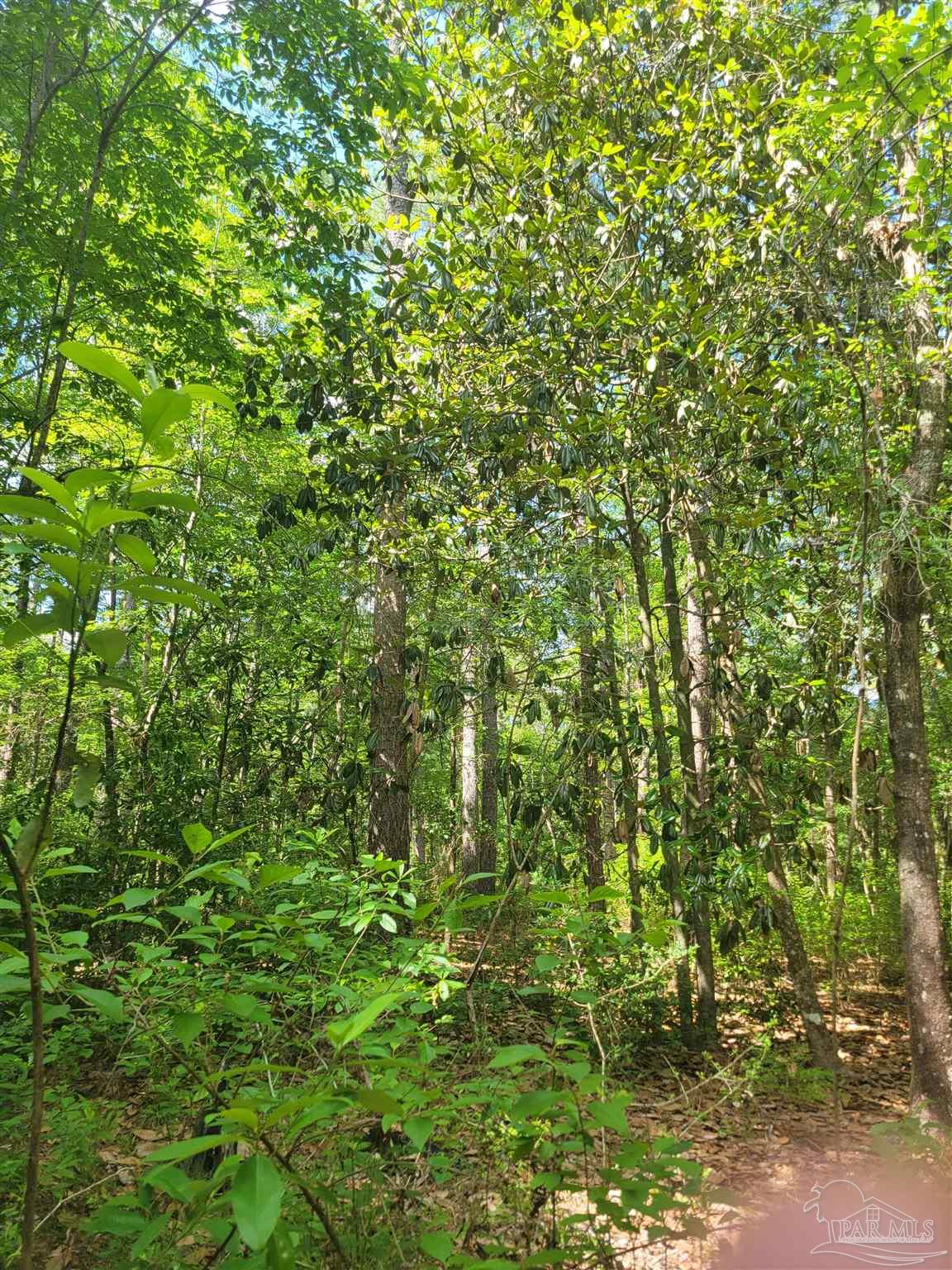 8223 N Highway 189 Baker FL 32531
