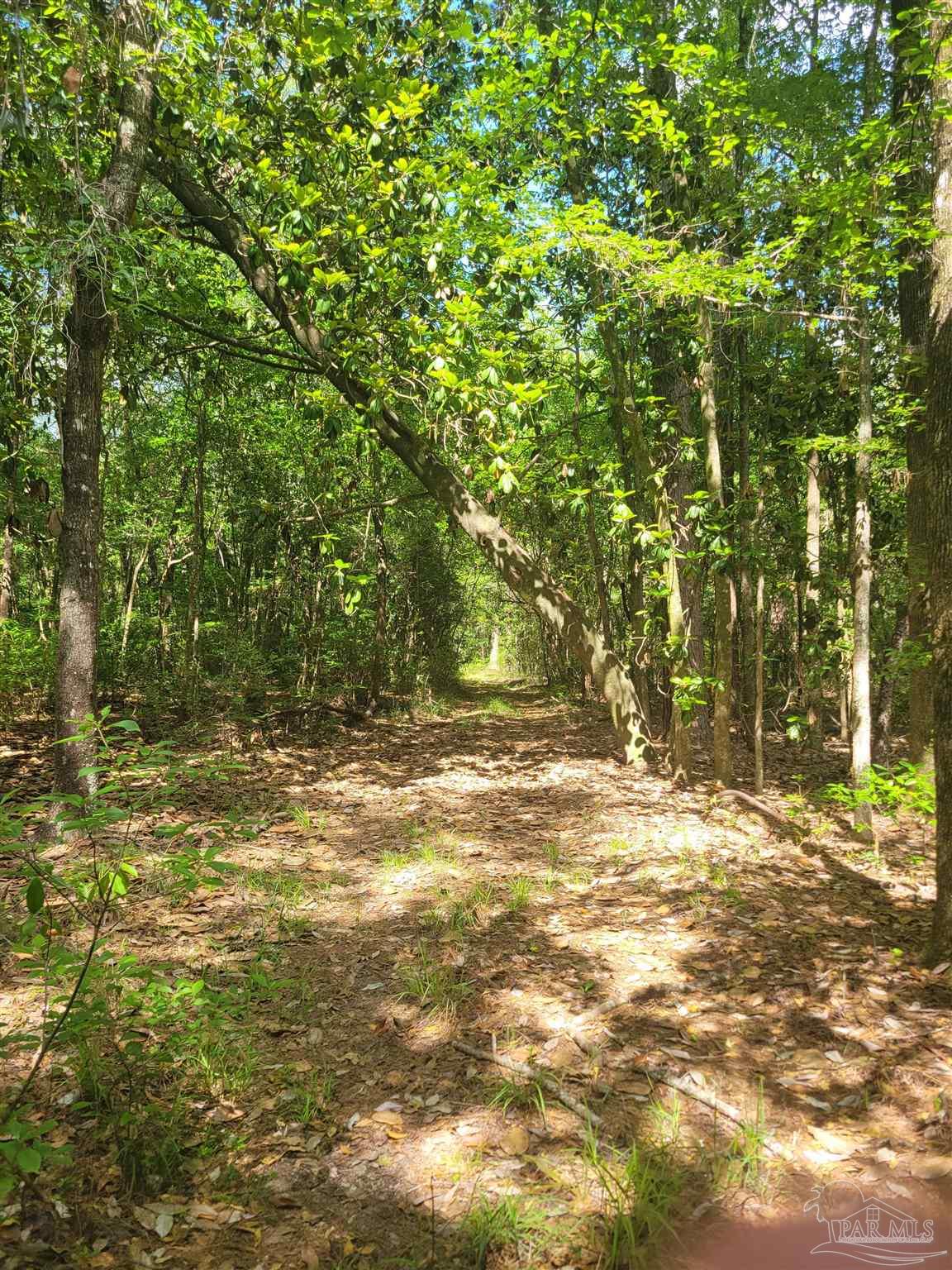 8223 N Highway 189 Baker FL 32531