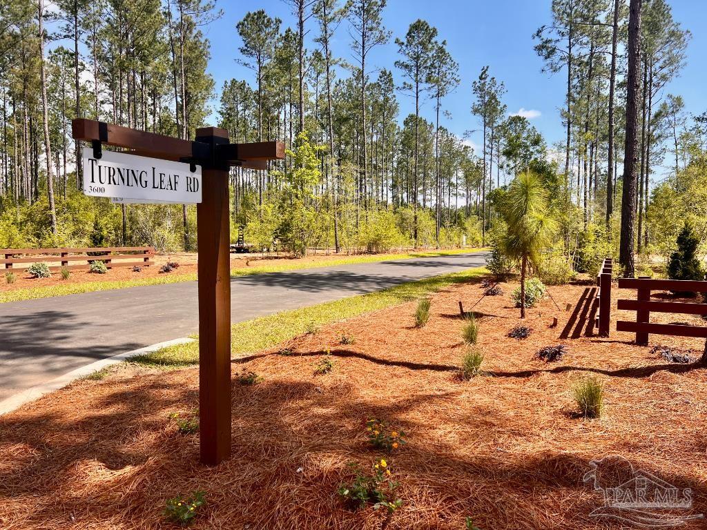 Lot 98 Turning Leaf Road Jay FL 32565